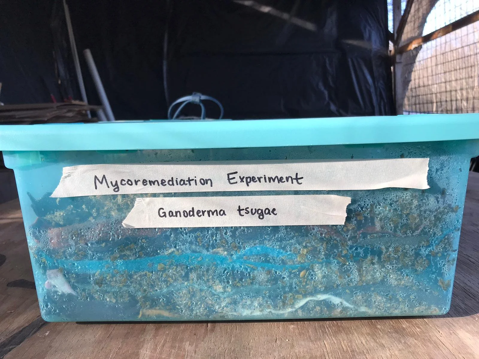 ONLINE: SporeCorps - Mycoremediation Workshop