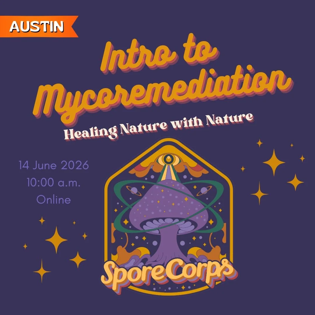 LIVESTREAM ONLINE: Intro to Mycoremediation