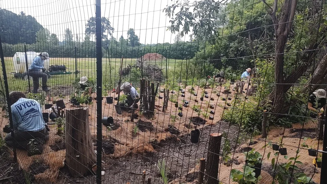 vyccplantingcrew_orig.jpg
