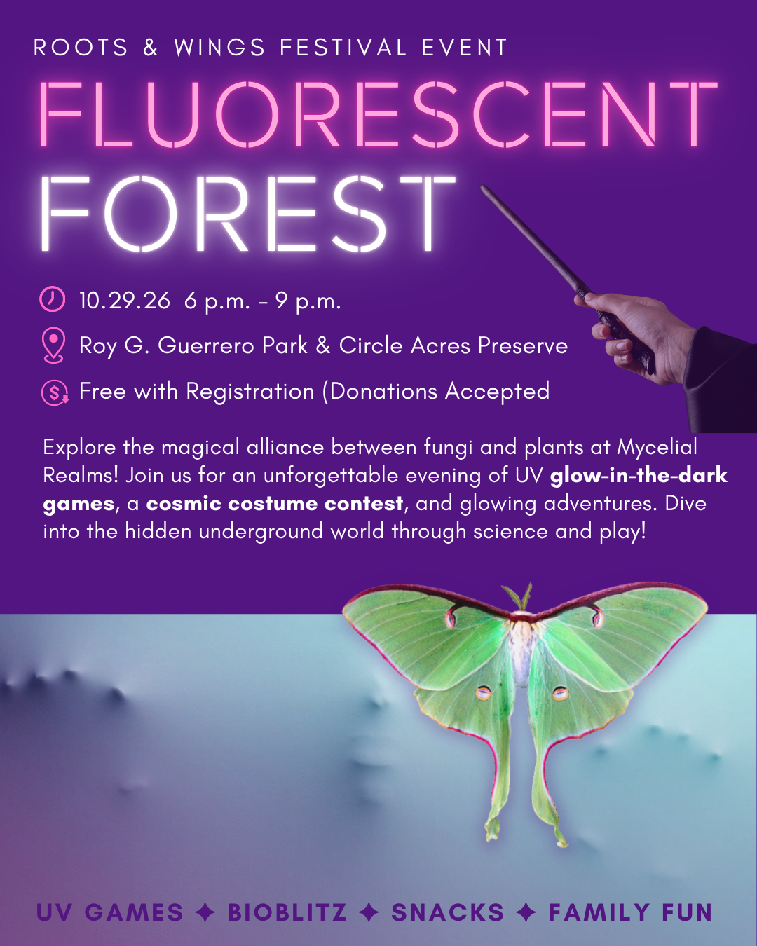 AUSTIN: Fluorescent Forest: An Official Roots & Wings Festival Event