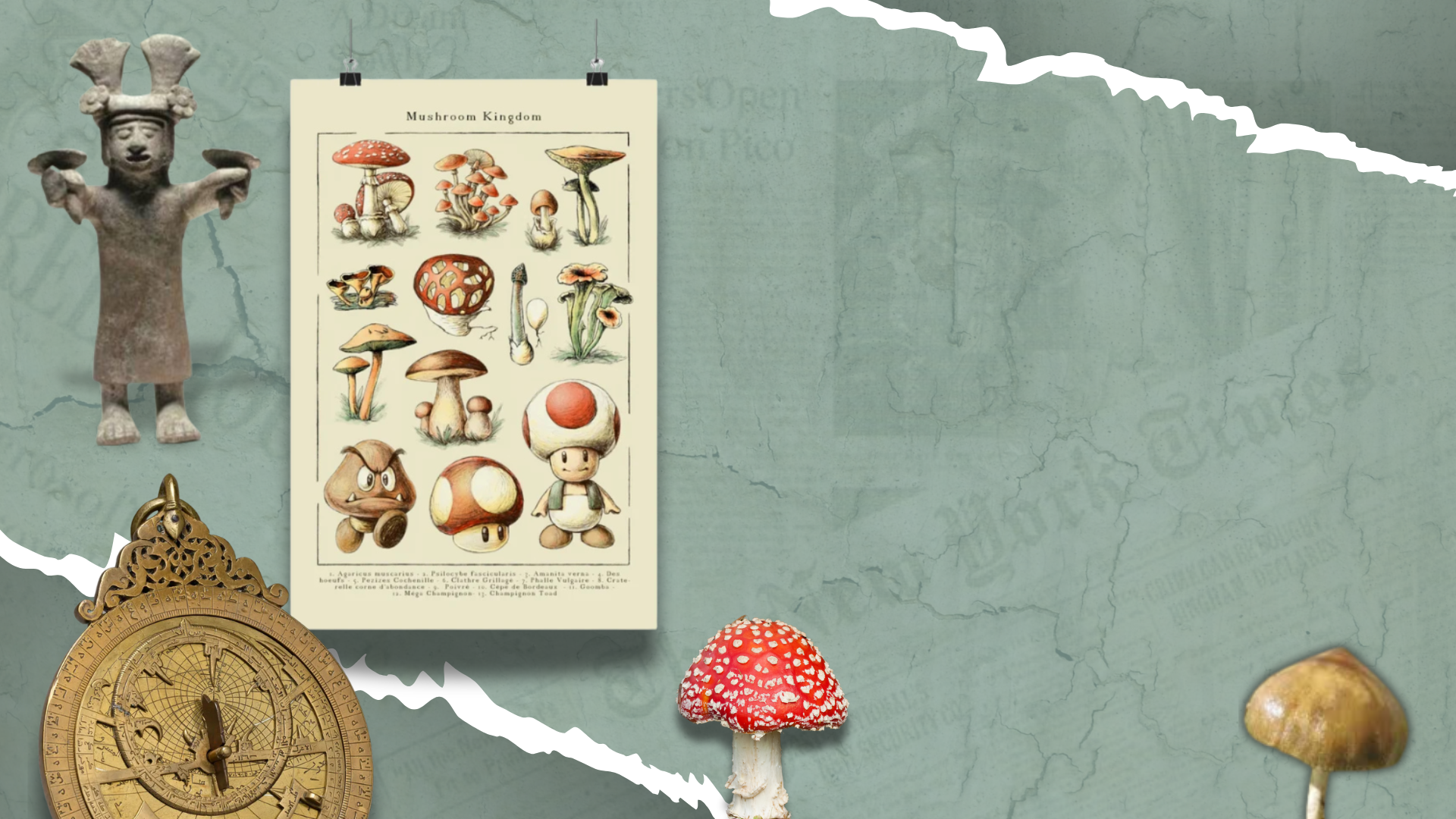 ONLINE: Art, Alchemy, Mushrooms and the War on Nature
