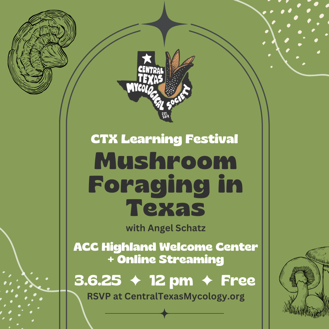 AUSTIN + ONLINE Mushroom Foraging in Texas — Central Texas