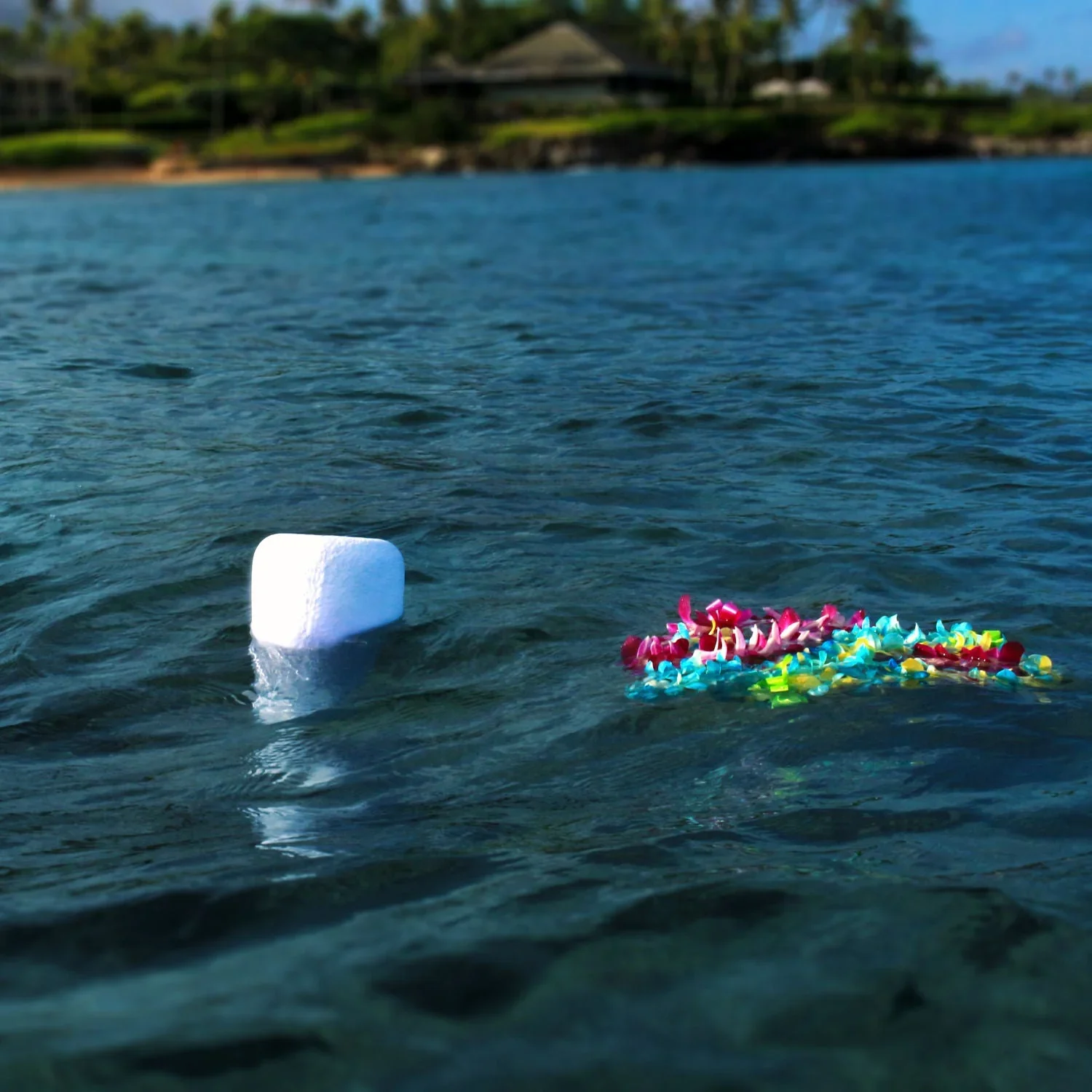 water-burial.webp