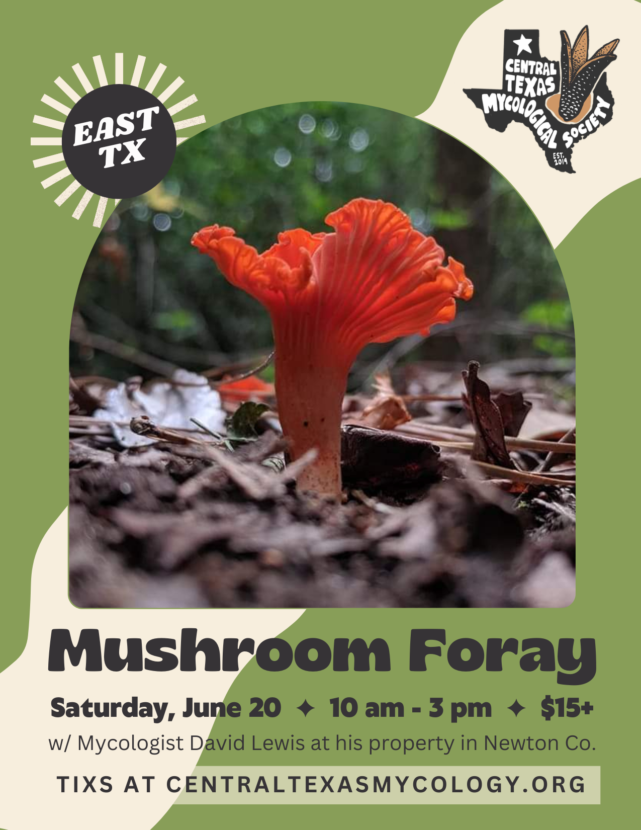 EAST TEXAS: Mushroom Foraging Walk at David Lewis Property