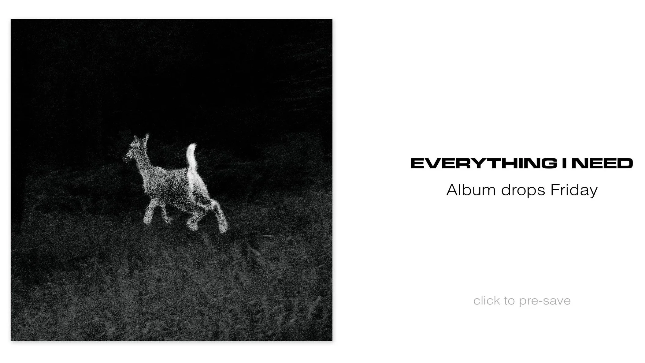 Website+_1.jpg