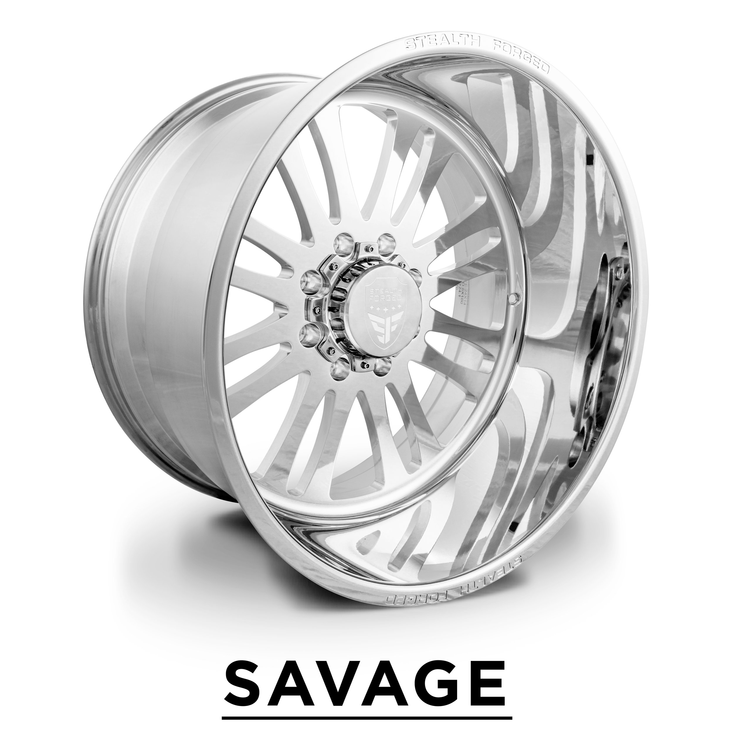 stealthf002-savage.jpg