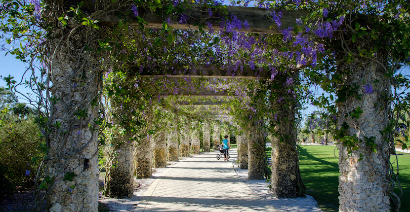 Naples-Botanical-Gardens-Naples-Florida.jpg