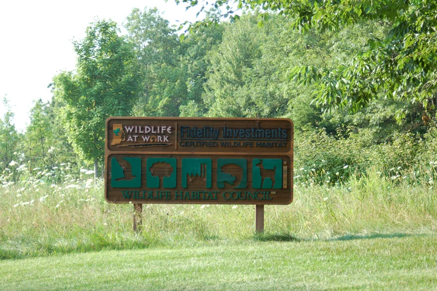 21_site3.jpg