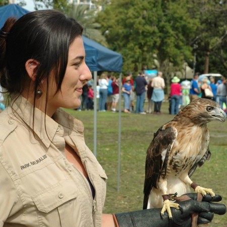 USFSP student co-pilots program that pairs wounded birds of prey with veterans