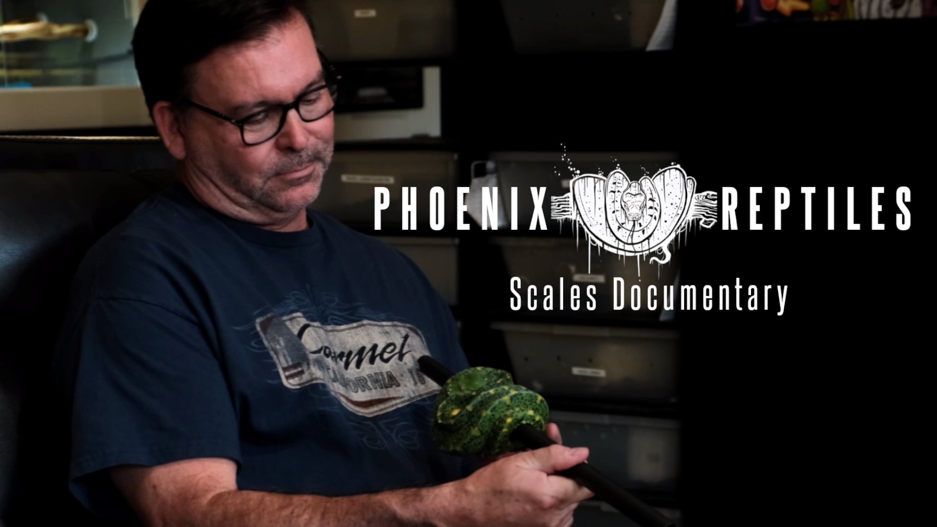 Scales Documentary: Phoenix Reptiles