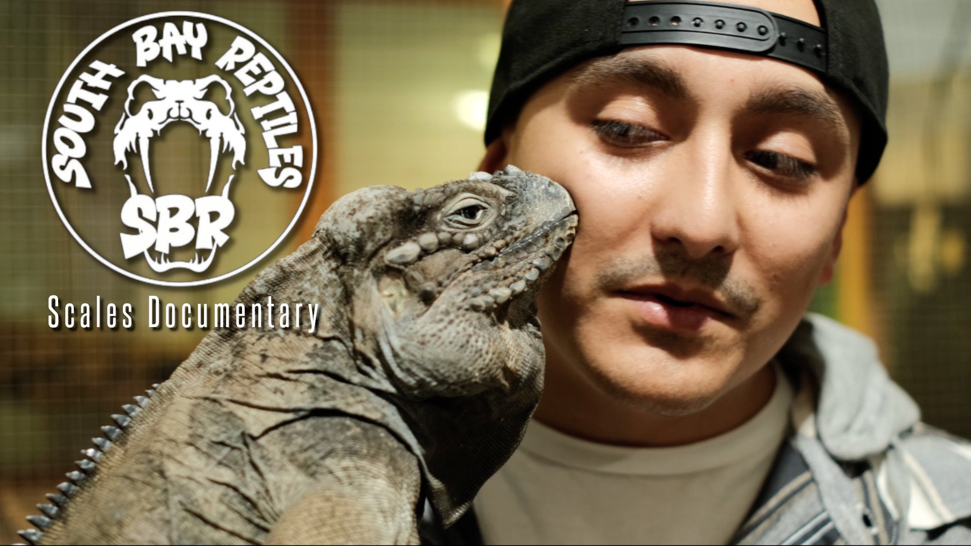 Scales Docuseries: South Bay Reptiles