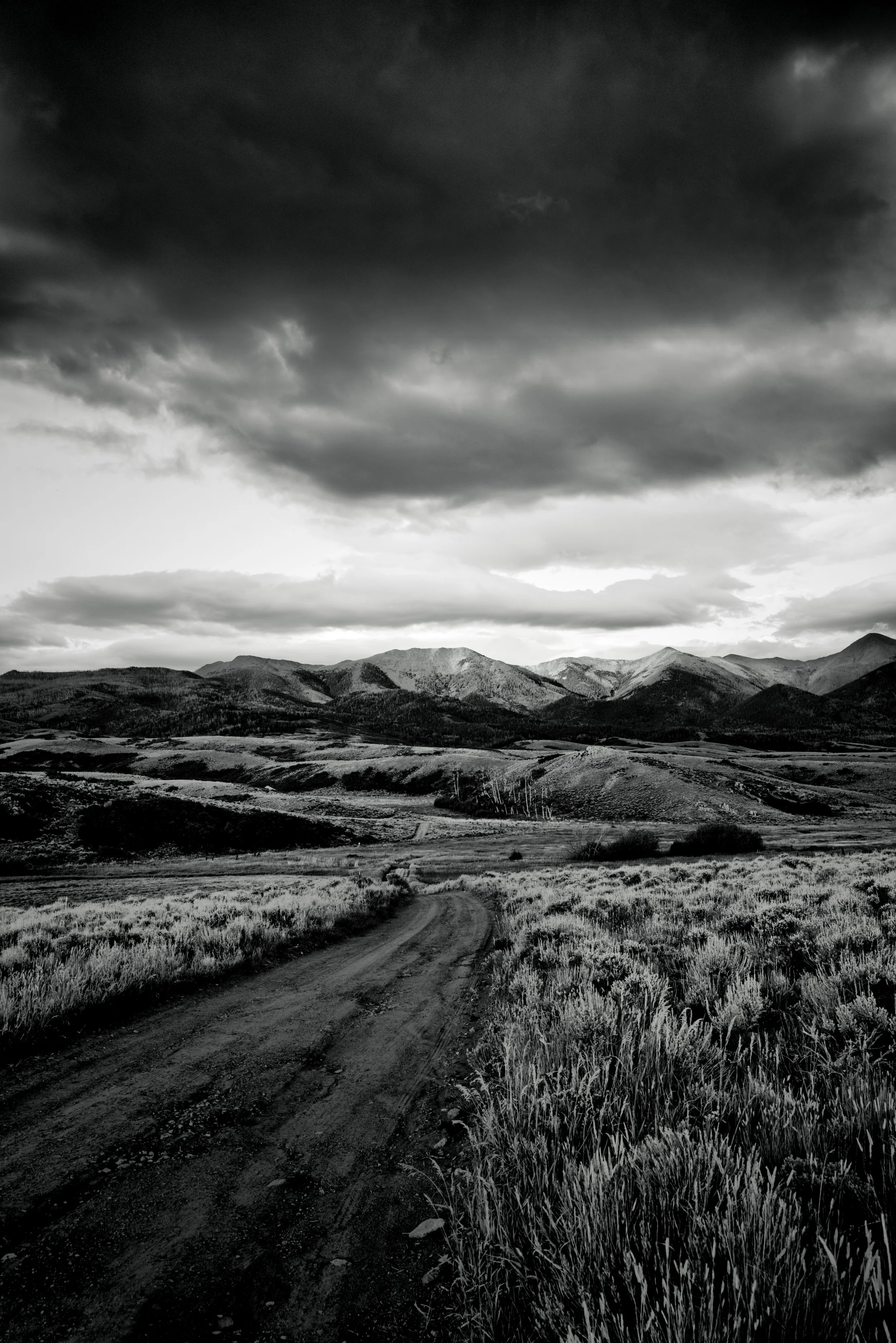 DO01001840 Edited.JPG