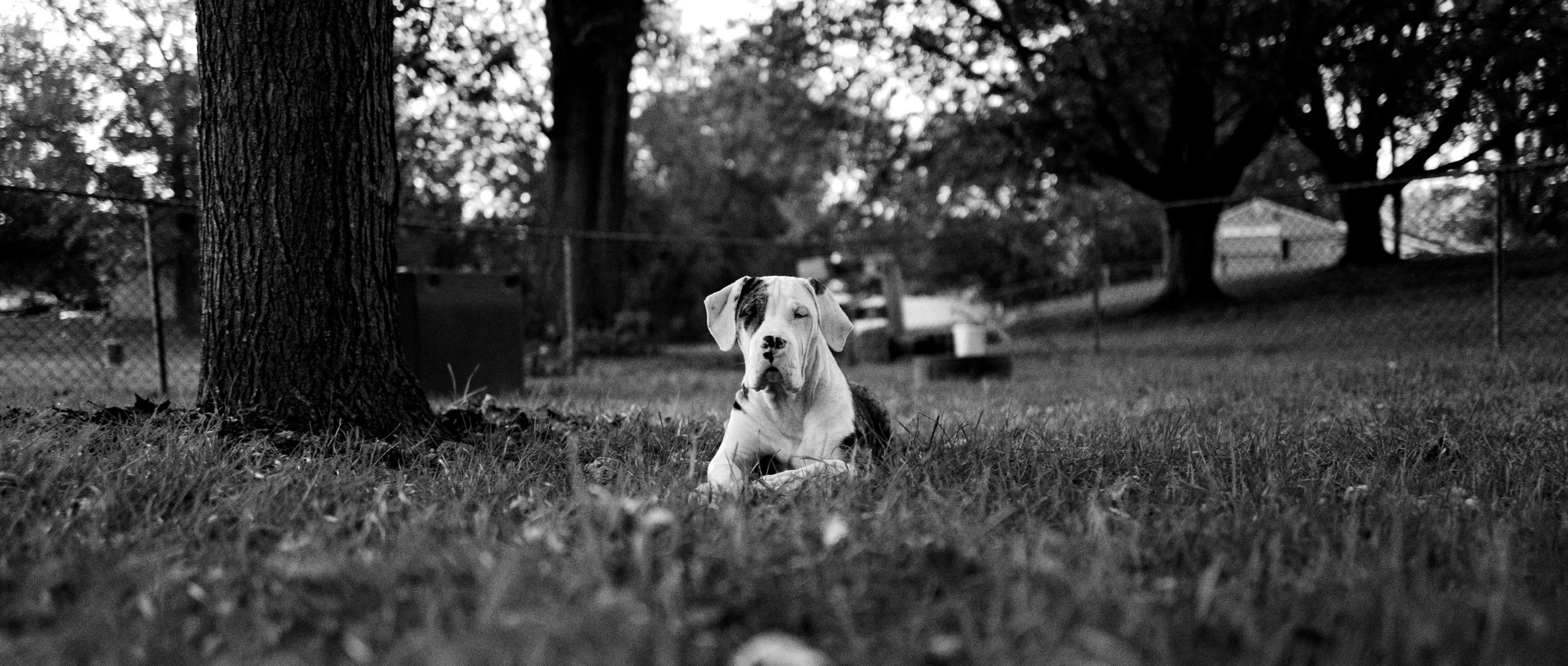 DO01002188 Edited.JPG