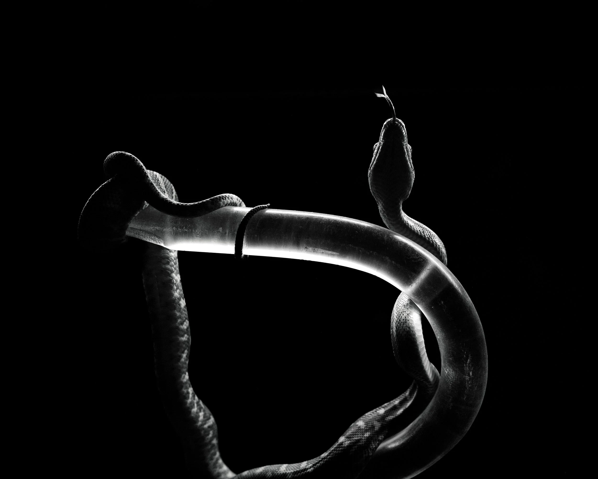 DO01002767 Edited.JPG