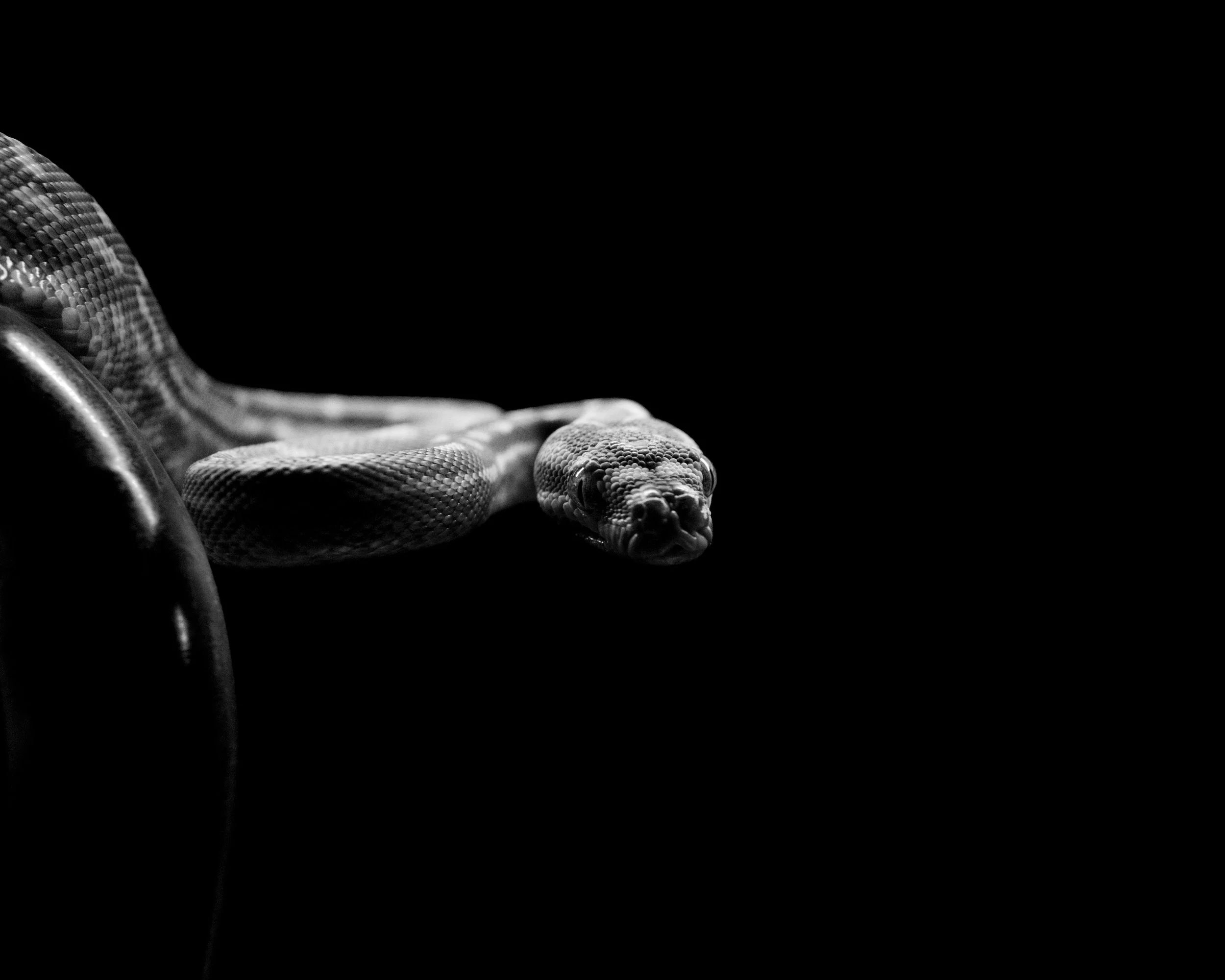 DO01002735 Edited.JPG