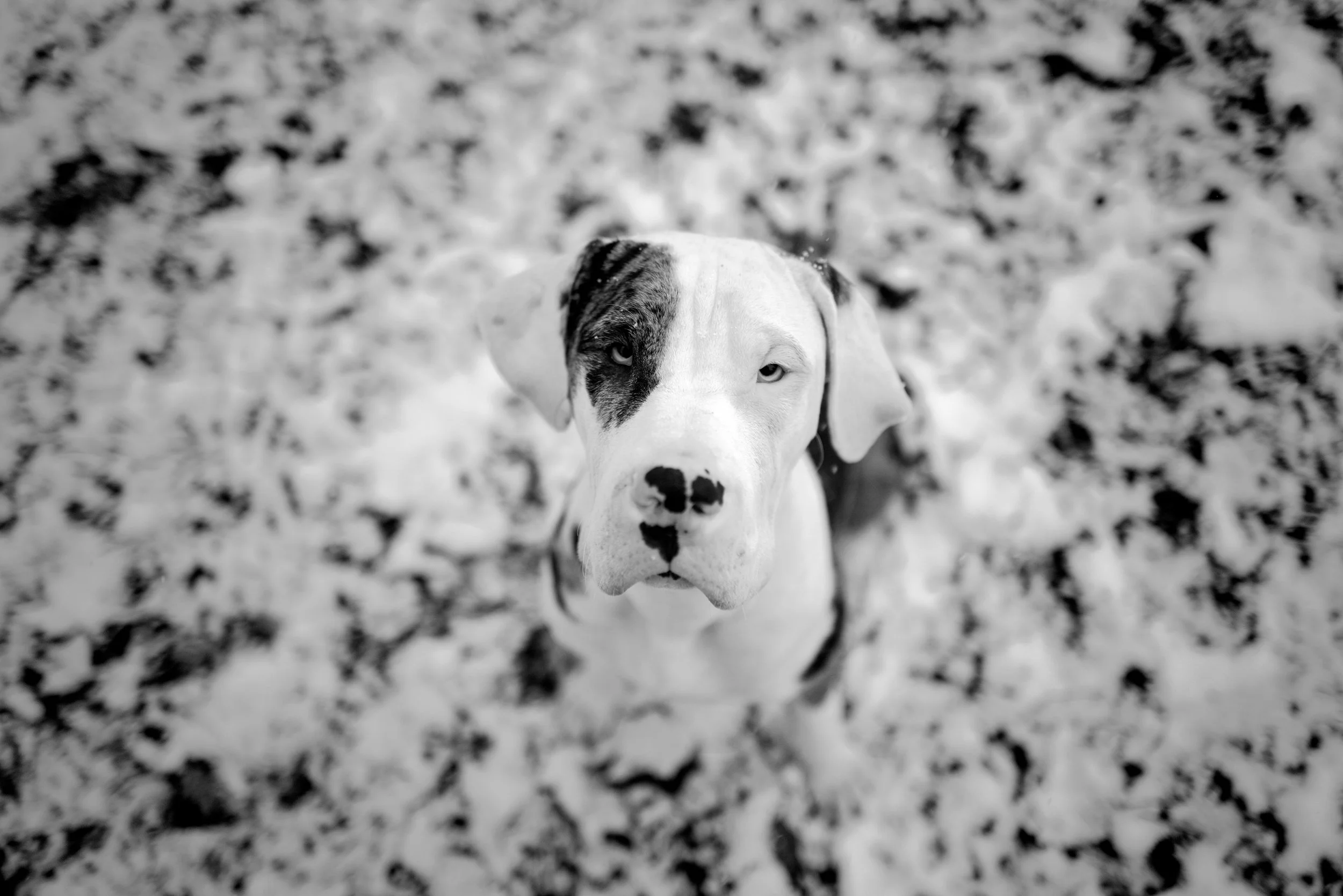 DO01002710 Edited.JPG