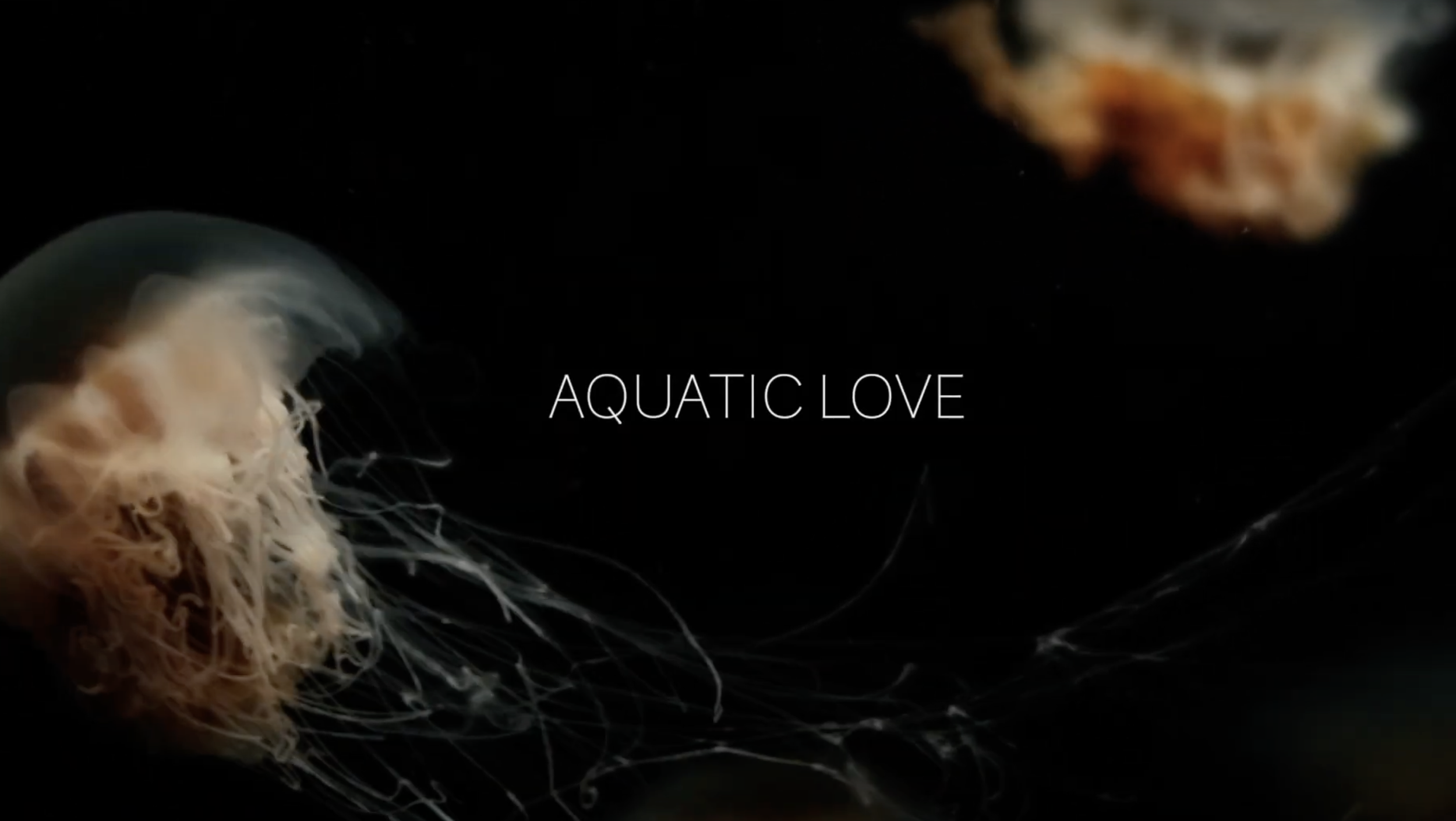 Aquatic Love