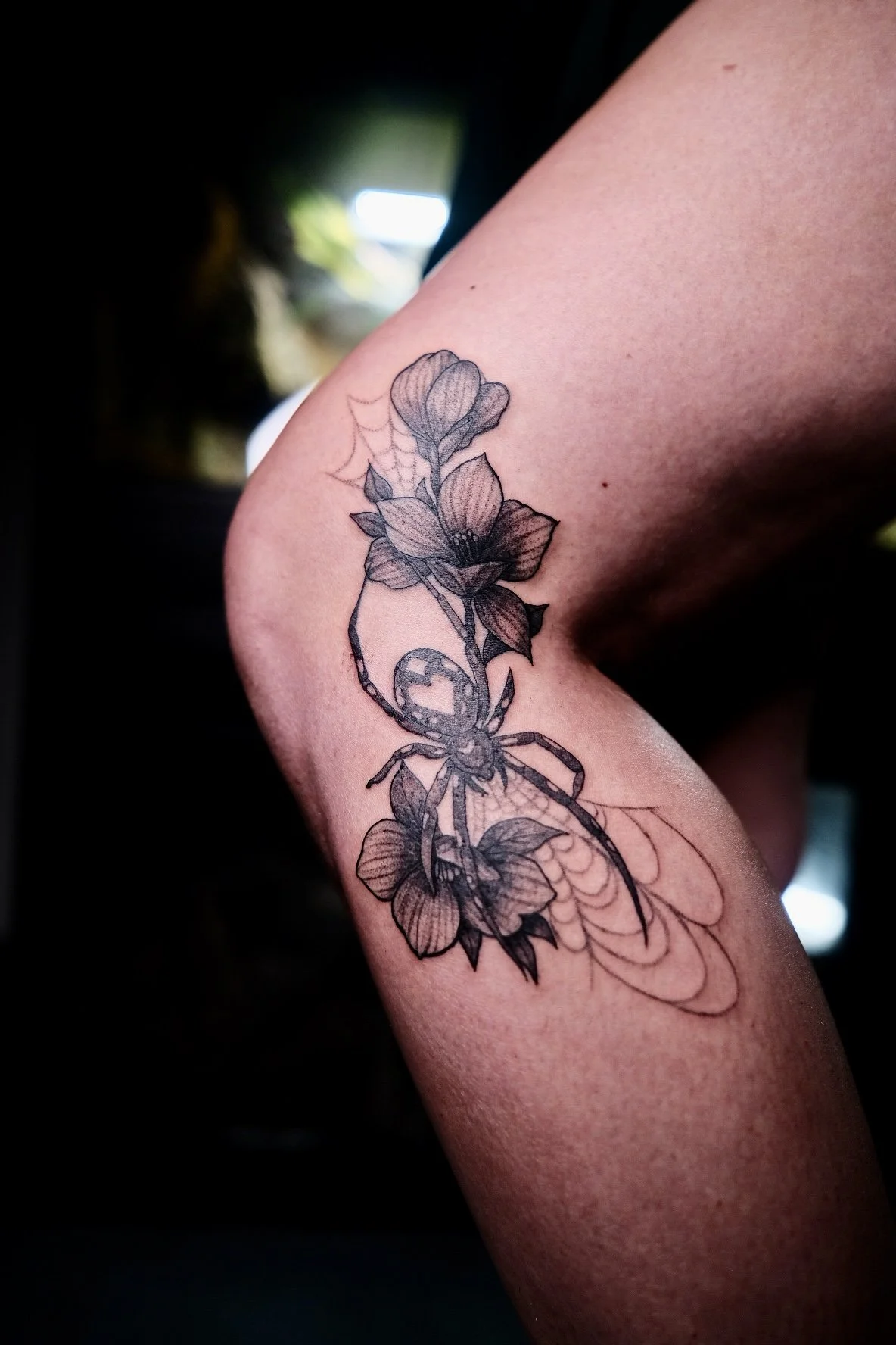 DSCF6086.jpg