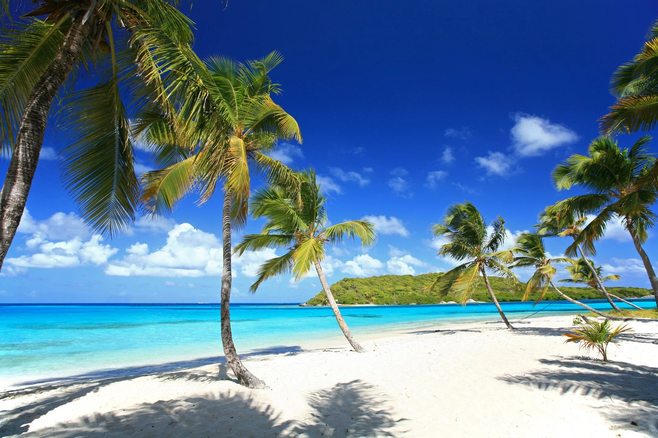 istock-95854980.jpg