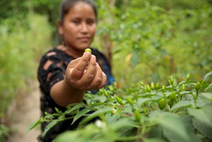 Impactées par le changement climatique, les femmes ont construit les luttes écoféministes