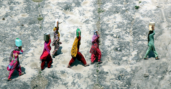 Les femmes, actrices essentielles dans la lutte contre le changement climatique, entre autonomisation et accès à la gouvernance 