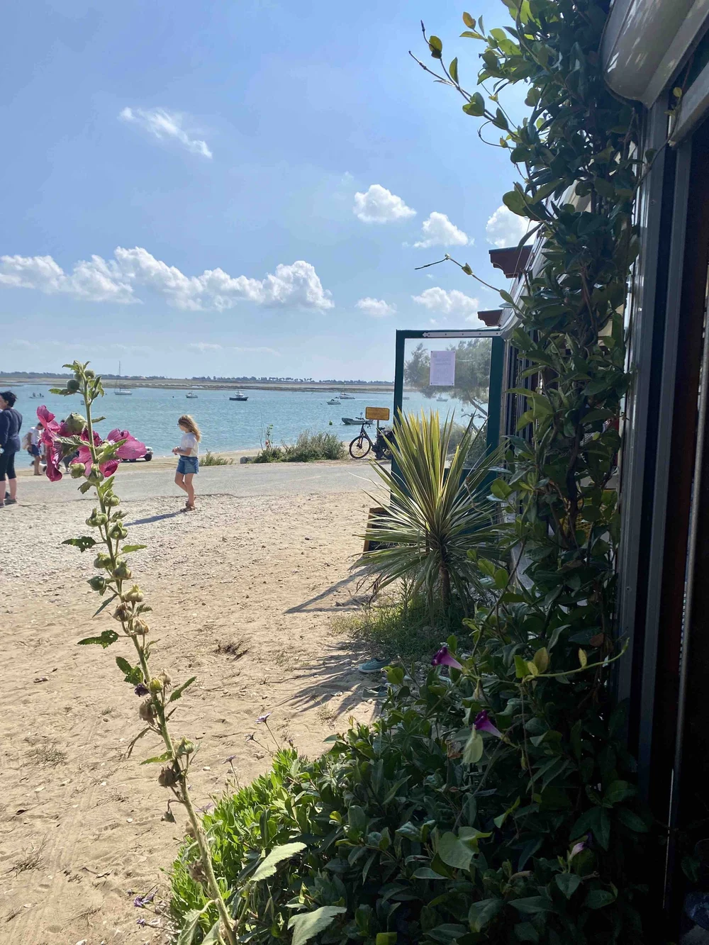 La cabane patache.jpg