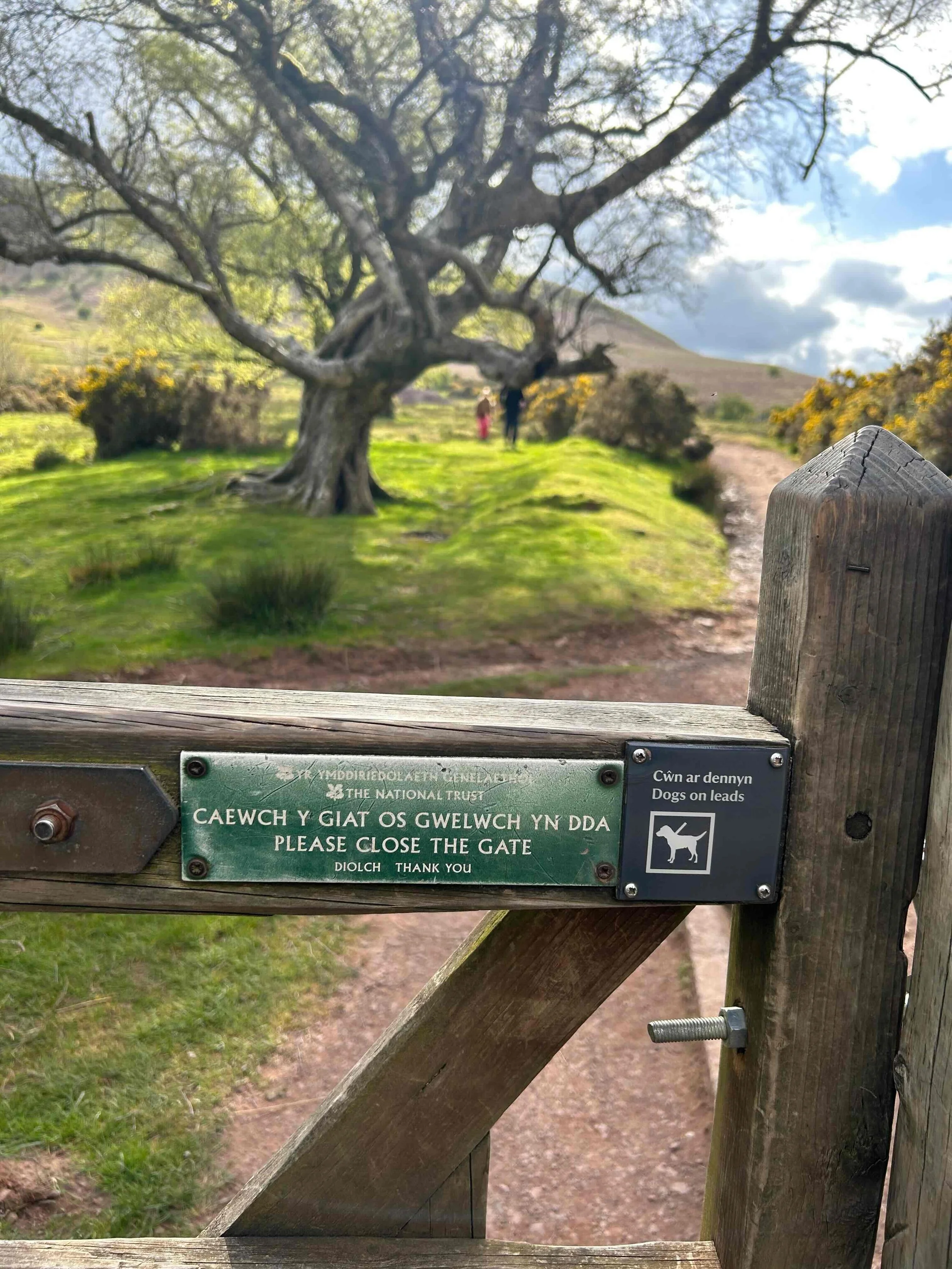 kissing gate.jpg