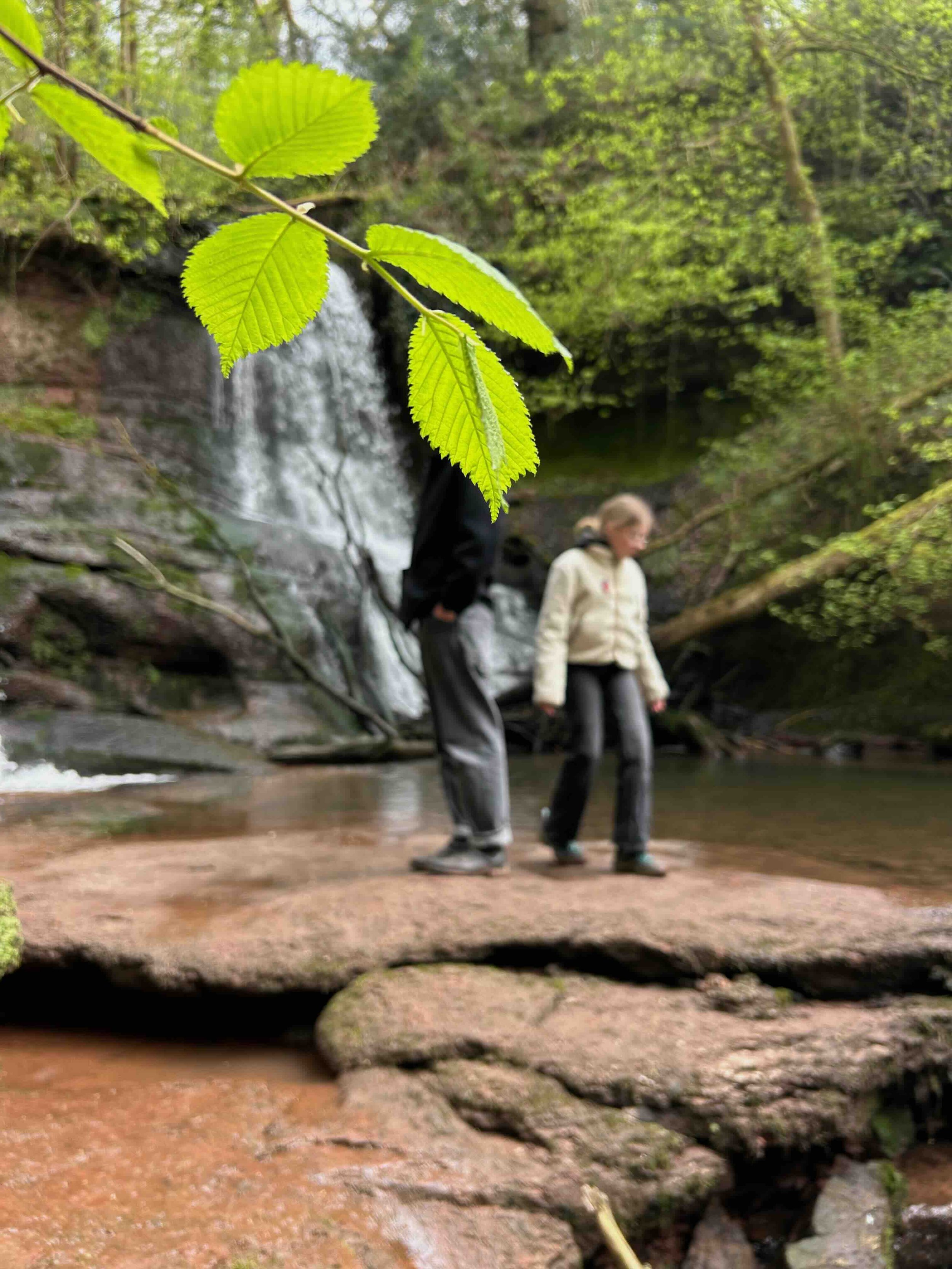 cascade 2.jpg