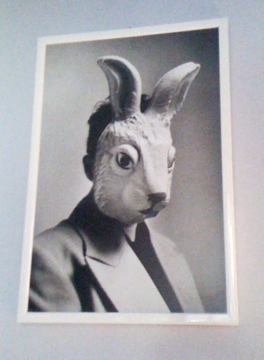 The Rabbit Story — Wine Bunnies