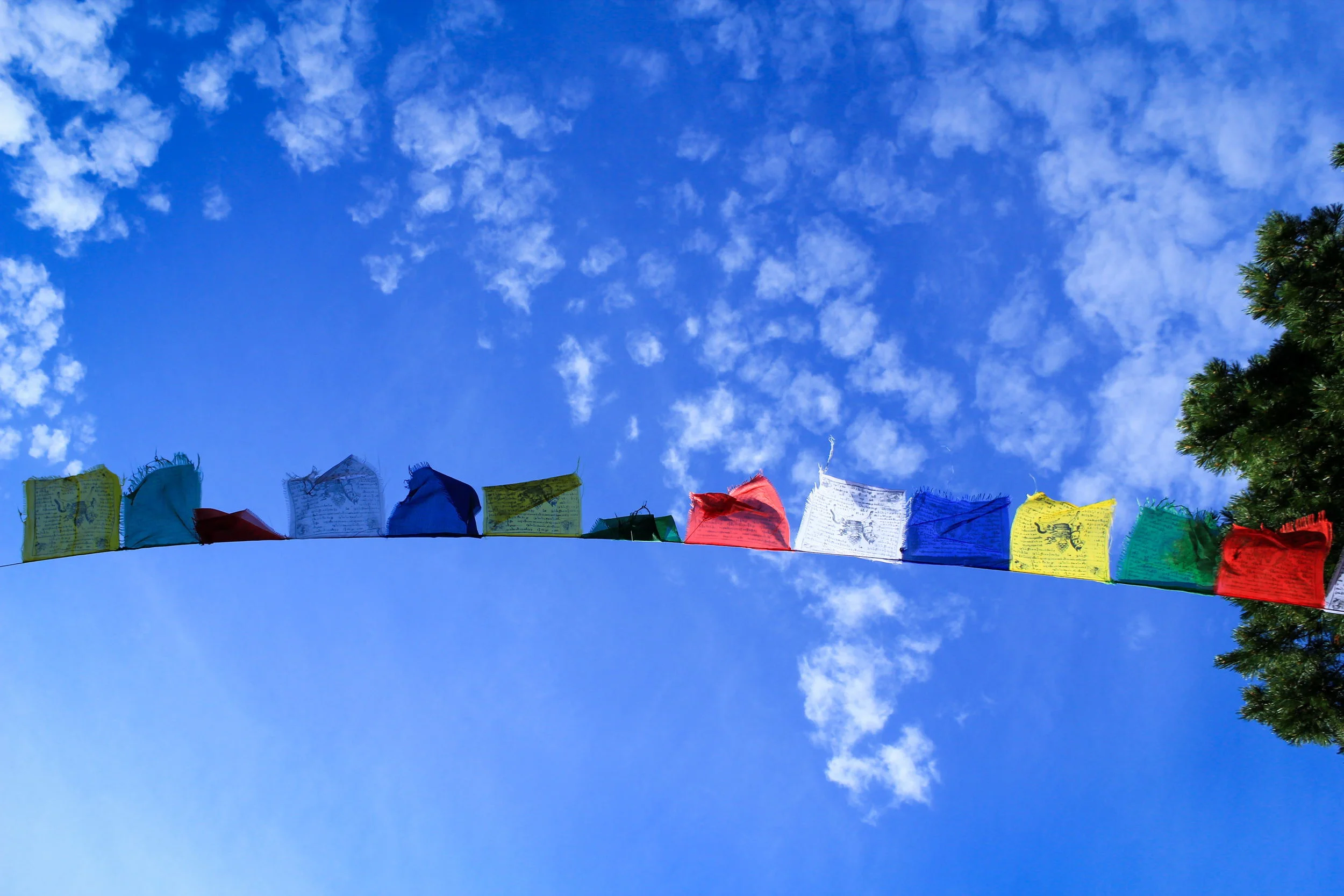 Prayer Flags in the Wind