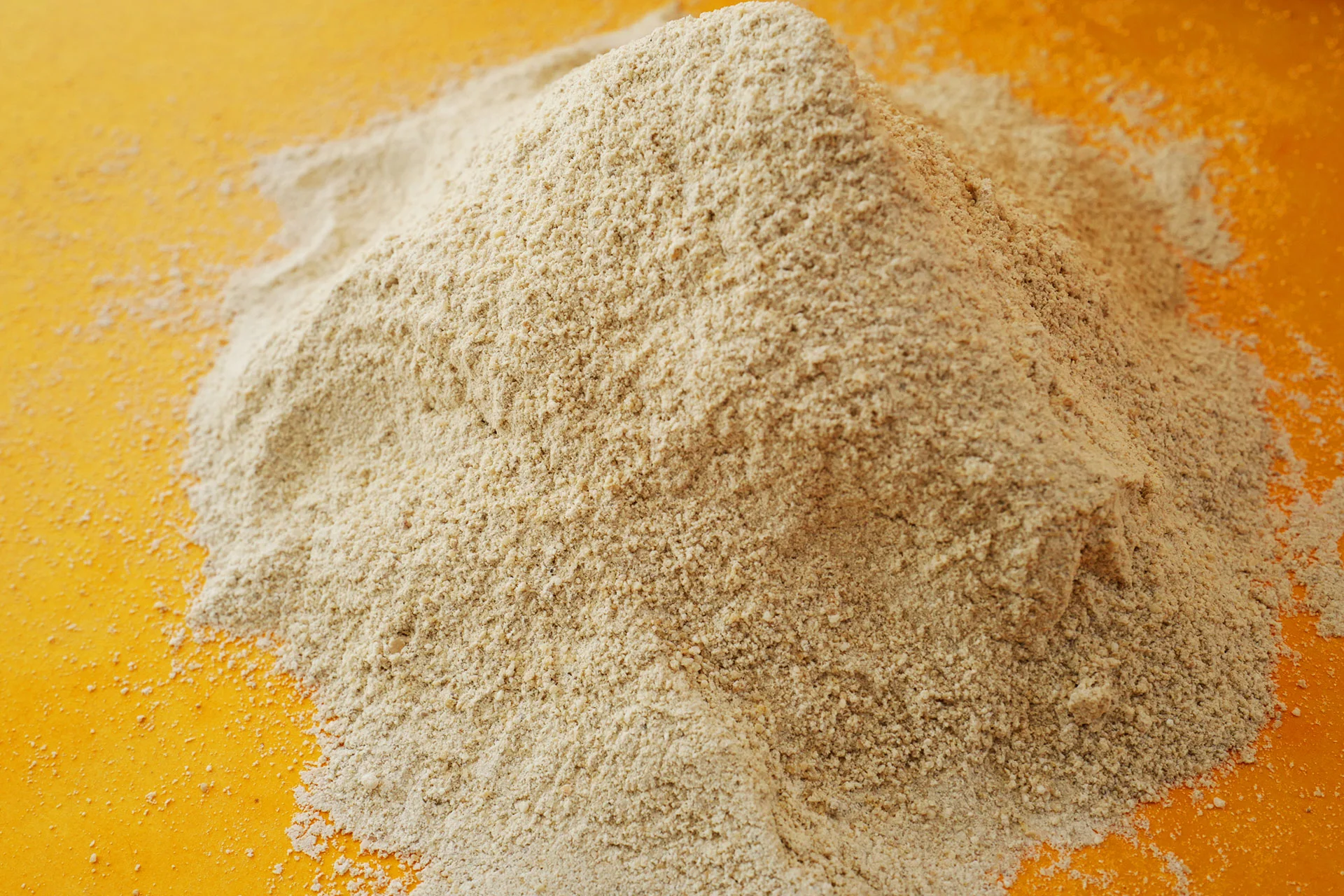 45Mesh-2.jpg