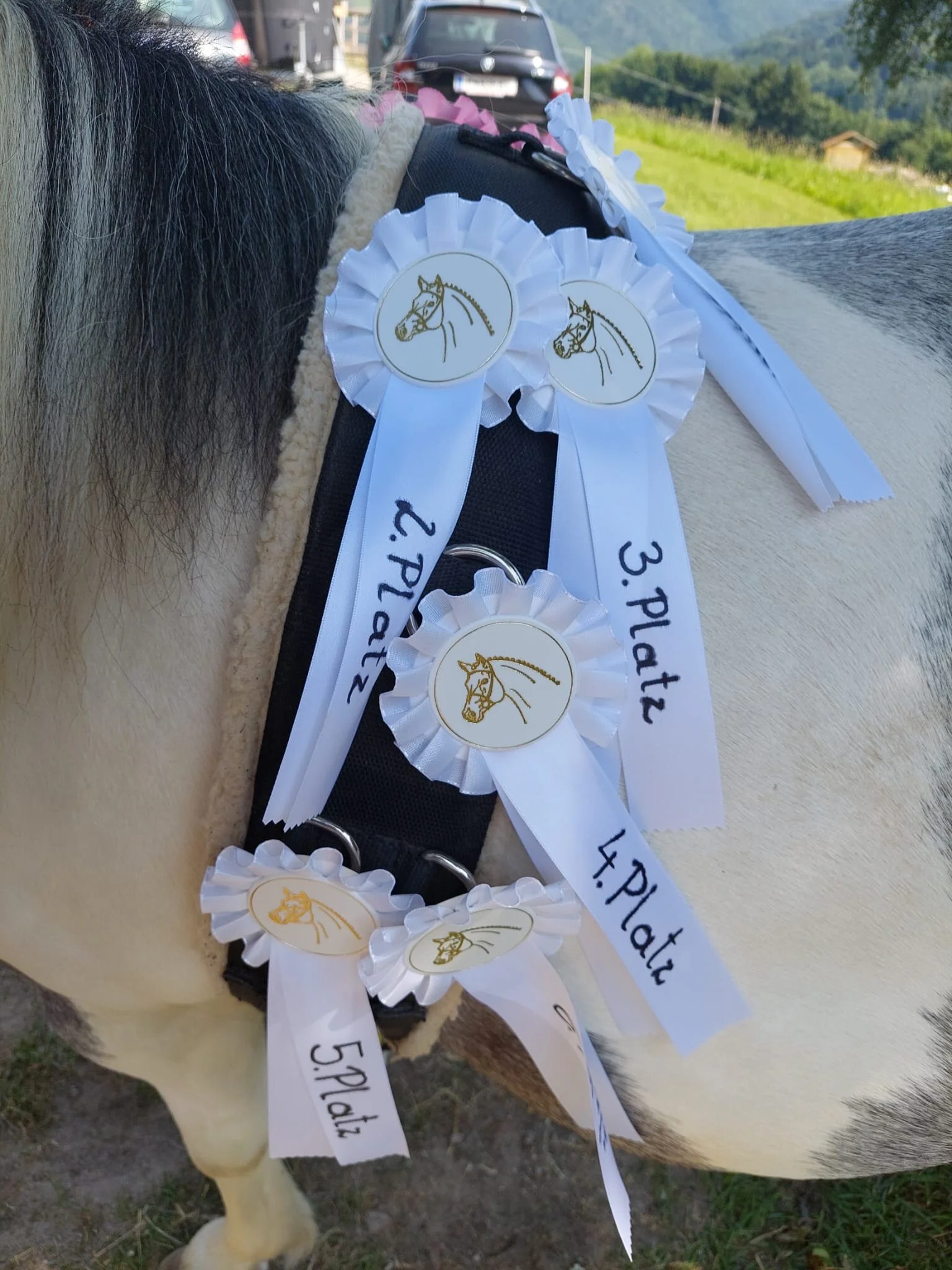 WhatsApp Image 2021-08-02 at 14.40.03.jpeg