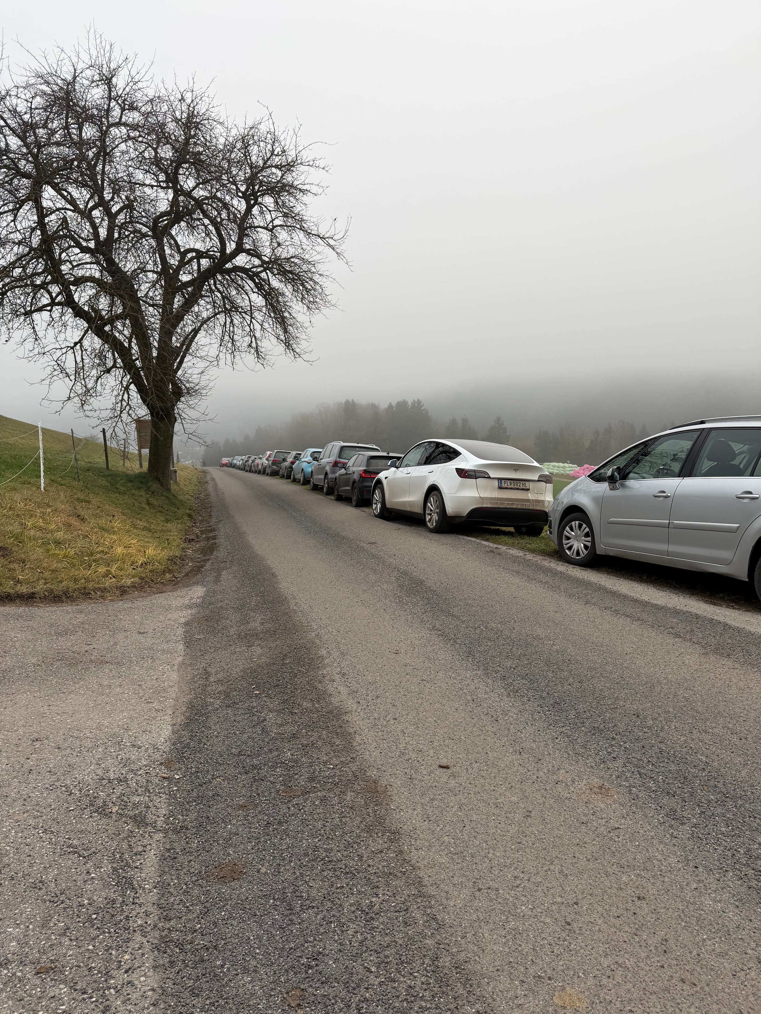 Adventreiten_ReitvereinChiron_2025_13.jpg