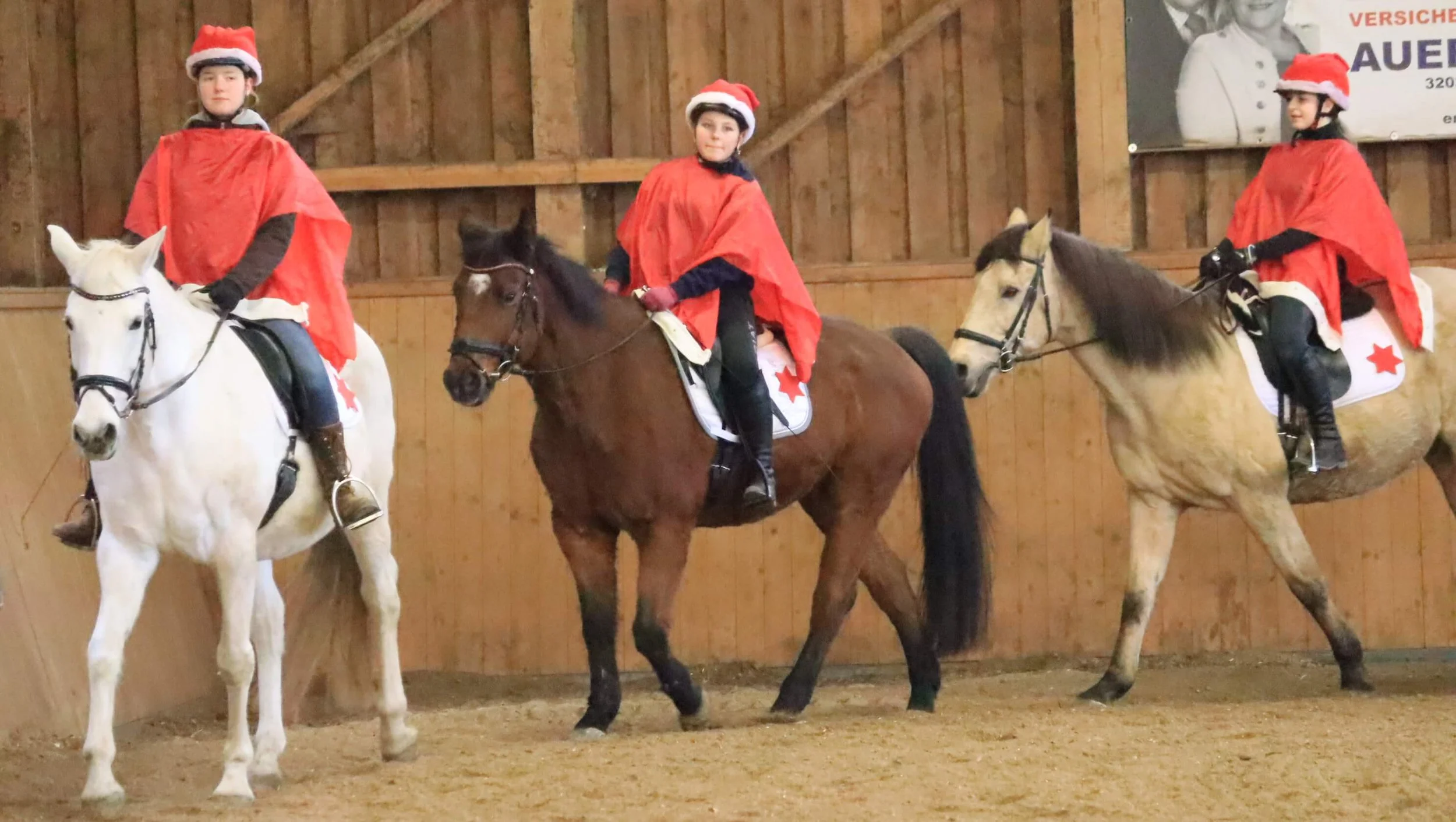 Adventreiten_ReitvereinChiron_2025_2.JPG