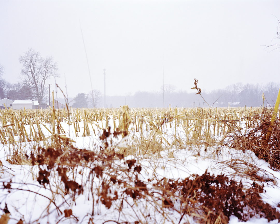 Photography by Sydney Cook