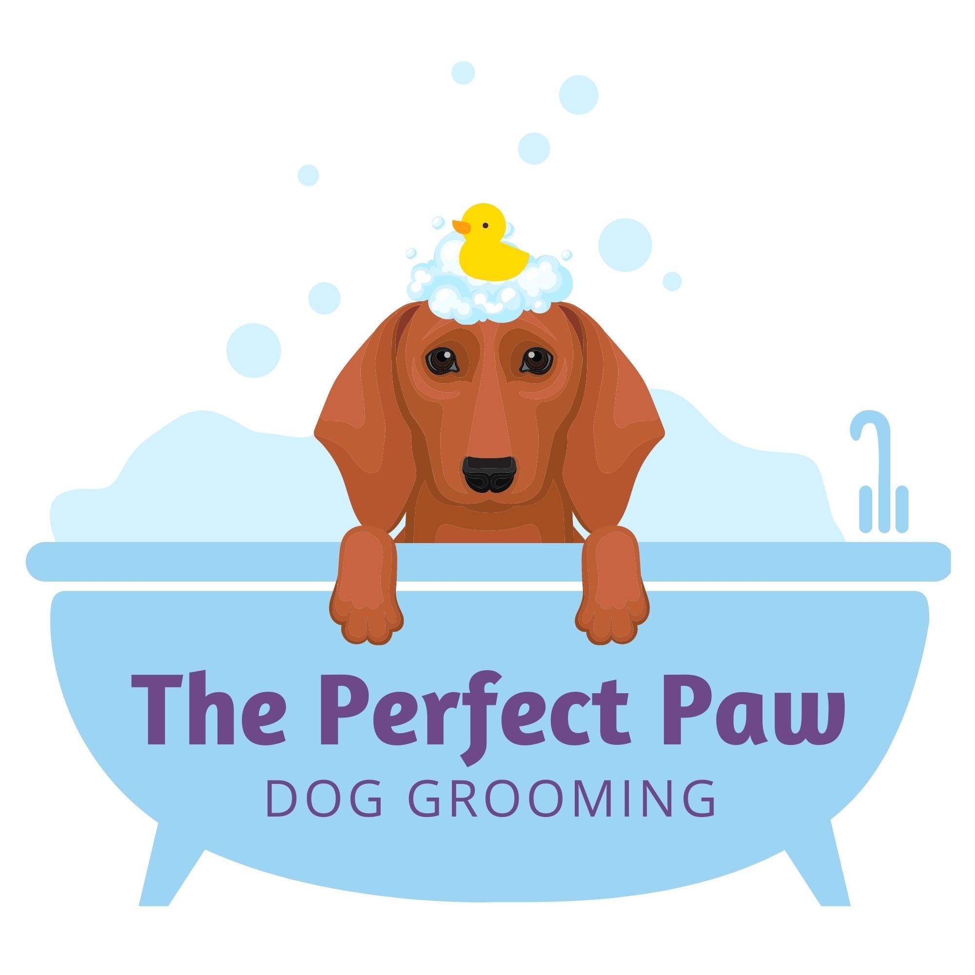 Syracuse Dog Grooming: Nail Clipping, Baths, Haircuts: Perfect Paw