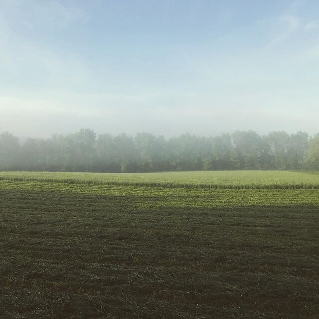 I think about the land at Chaseholm Farm a lot. I wonder about the people who loved it and worked with it before me. I know my father and my grandfather.  I am learning about the Mohican tribe who lived here before European colonization. I know there