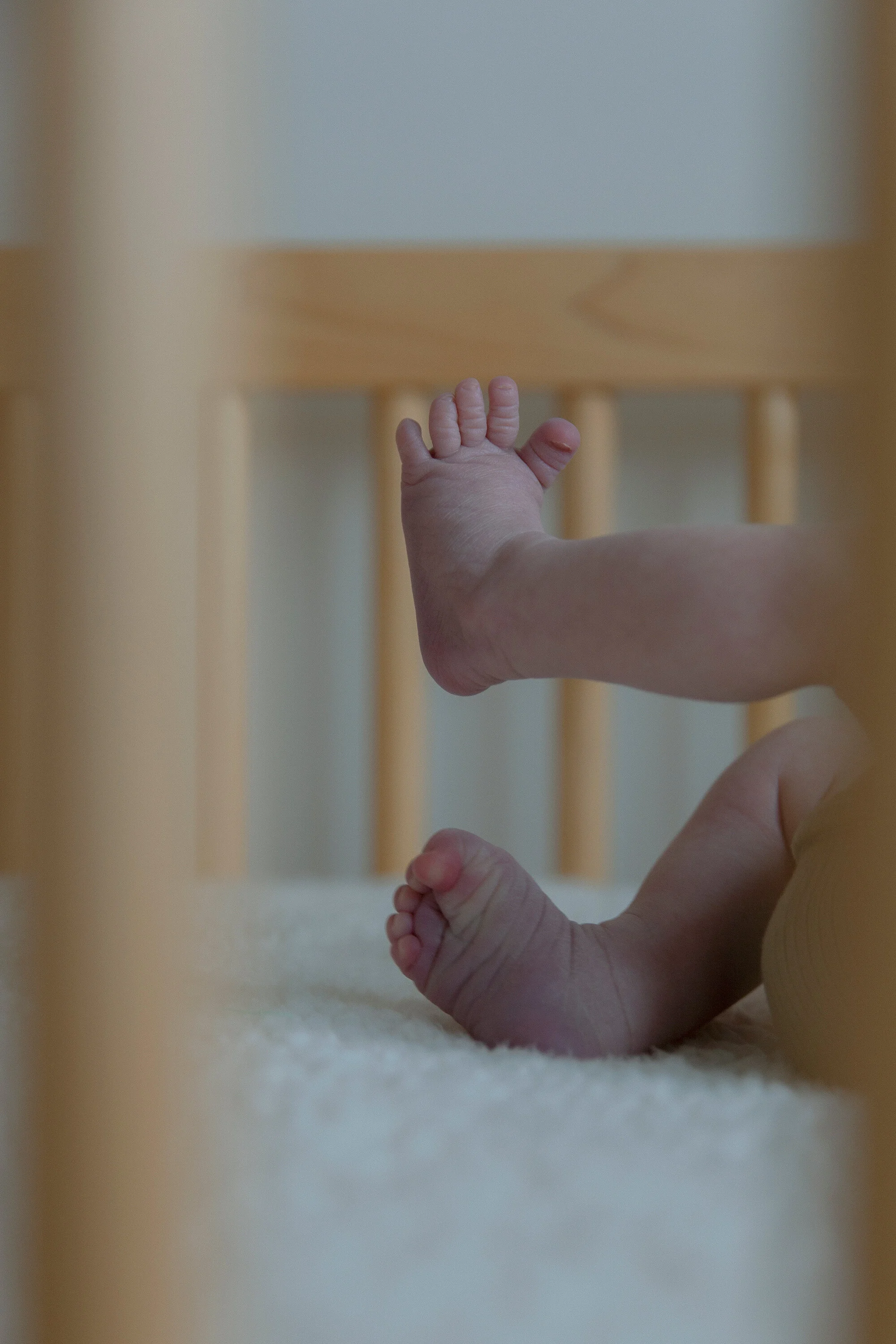 Sullivan James O'Leary