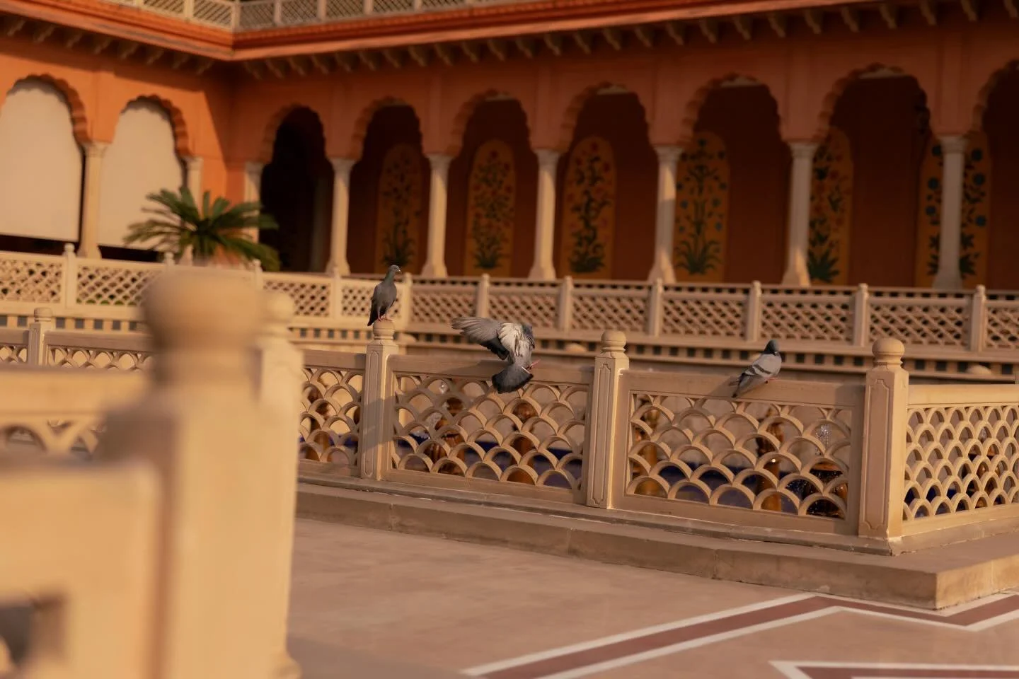 My first stop in India, after less than eight hours in Delhi, was Agra. My travel days and physical exhaustion left me feeling vulnerable and missing home, even though I felt very grounded in my choice to come. But, after one night of sleep and one f