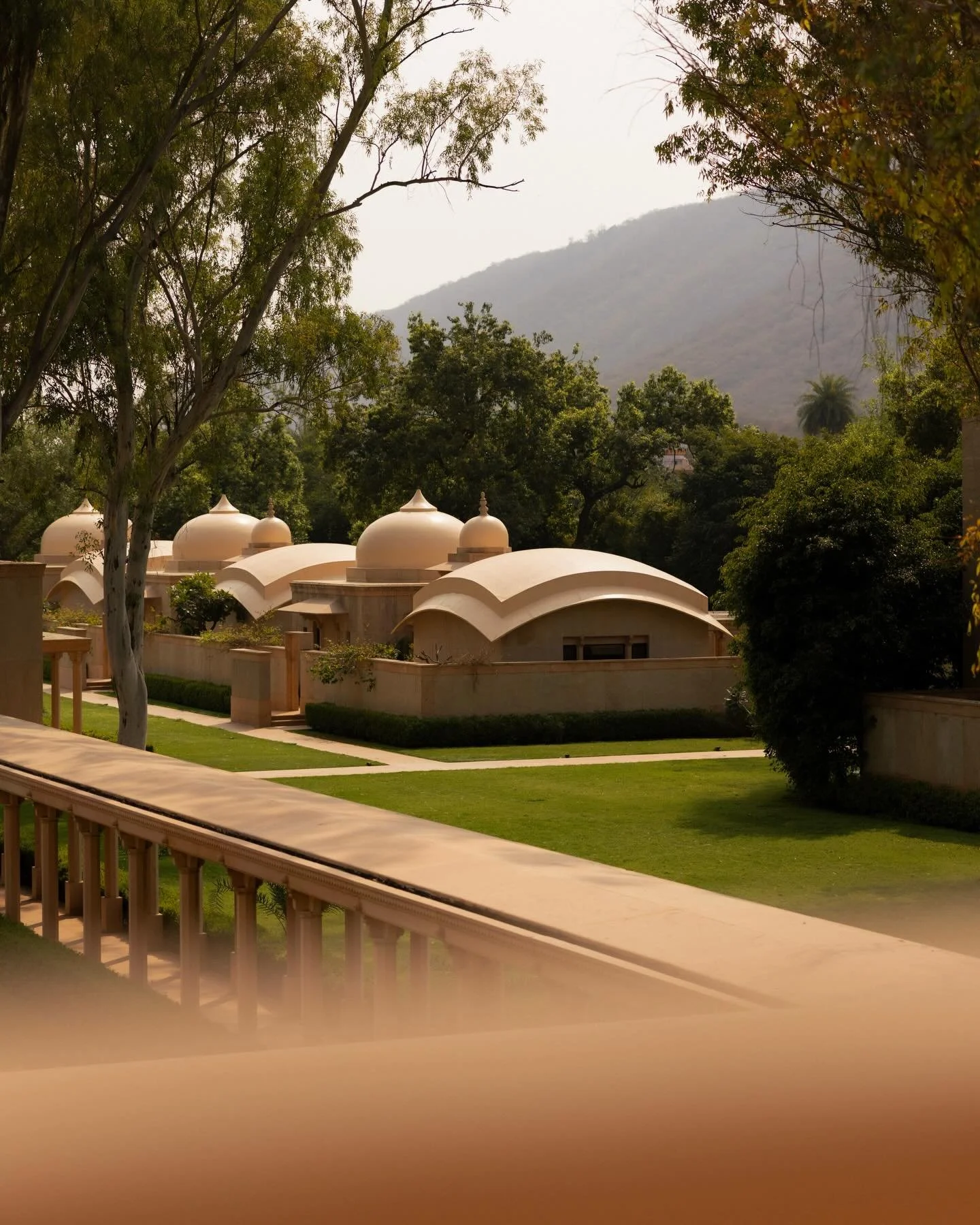 Back to Alwar, India in February&hellip; 🐒🌿🦜