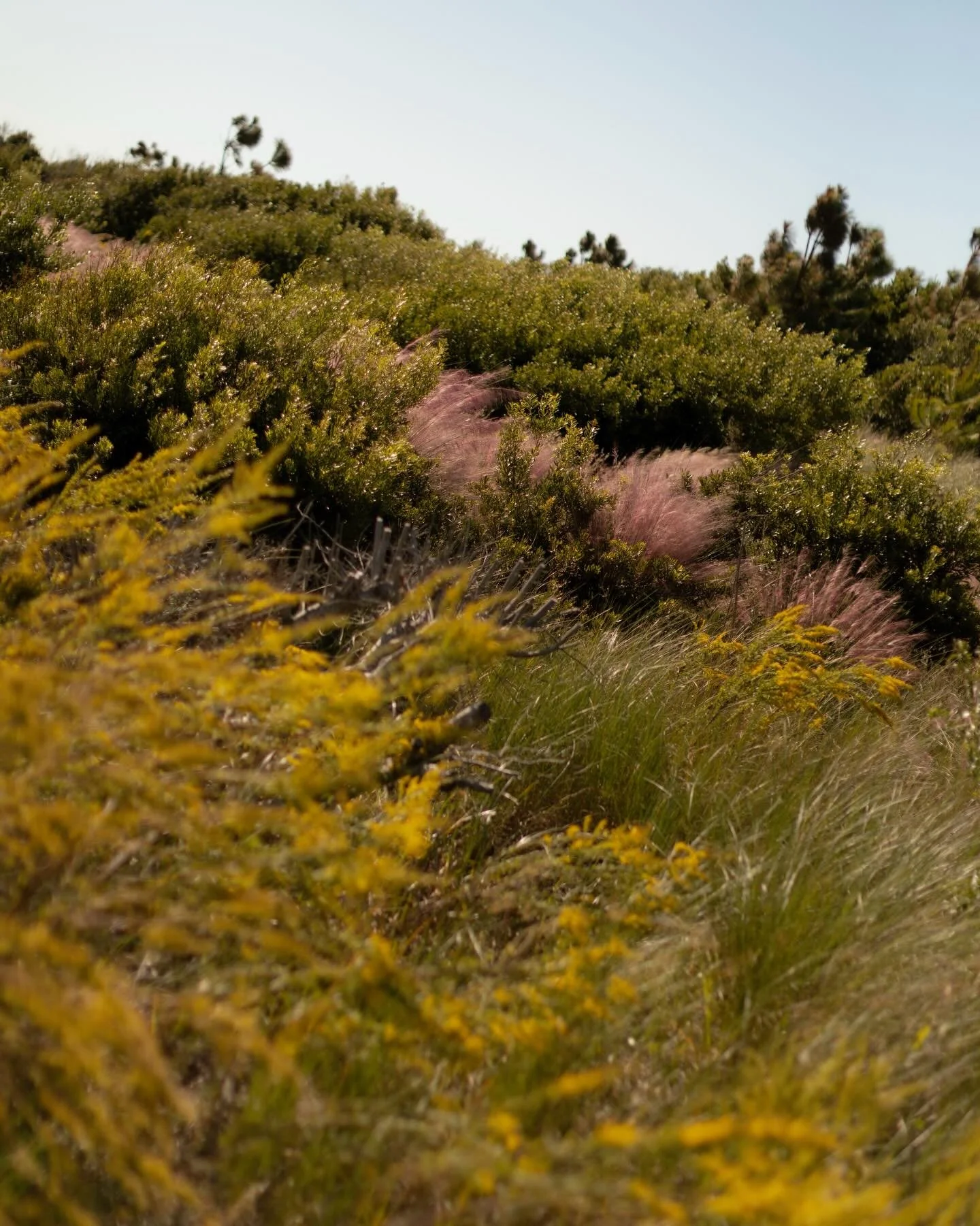 Moments of, and from, Mother 🌎.

#HappyEarthDay