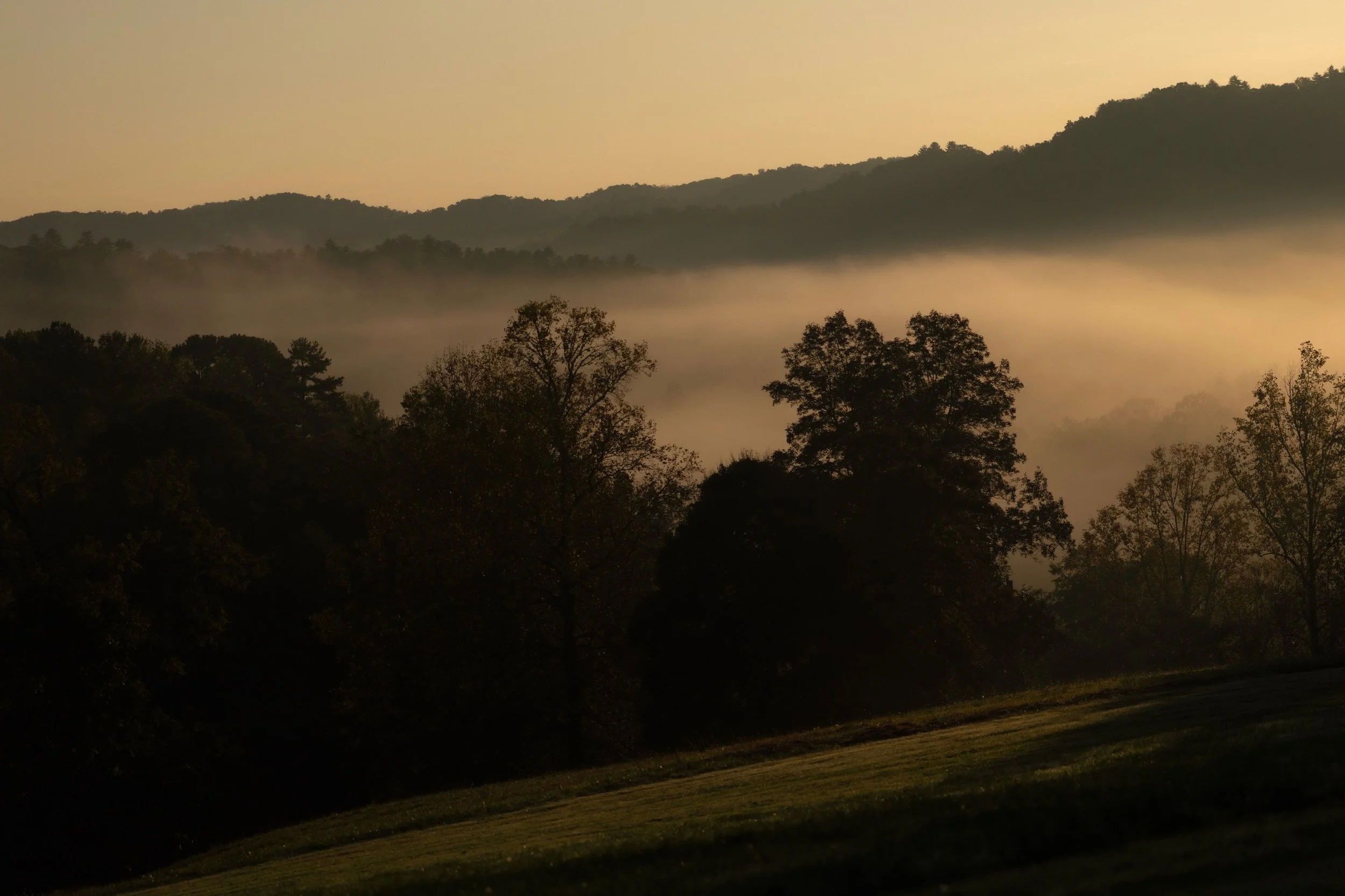 Sunrise in the Smokies&hellip; 💫🌿

When Jared and I watched the fog rise, flow, and dissipate on our first morning in the Smokies, my instinct was to research why and how it happens, while Jared&rsquo;s was to lean in, fully, to the mystery of it. 