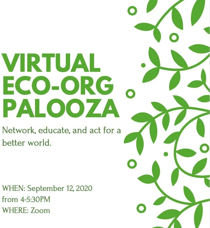 Virtual Eco-Org Palooza
