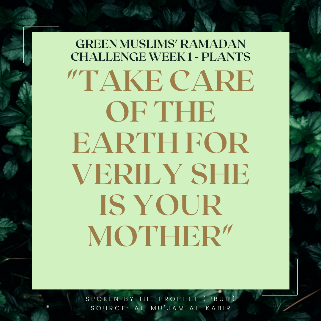 Green Muslims' Ramadan Challenge Week 1