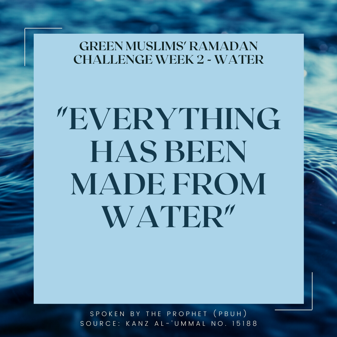 Green Muslims' Ramadan Challenge Week 2