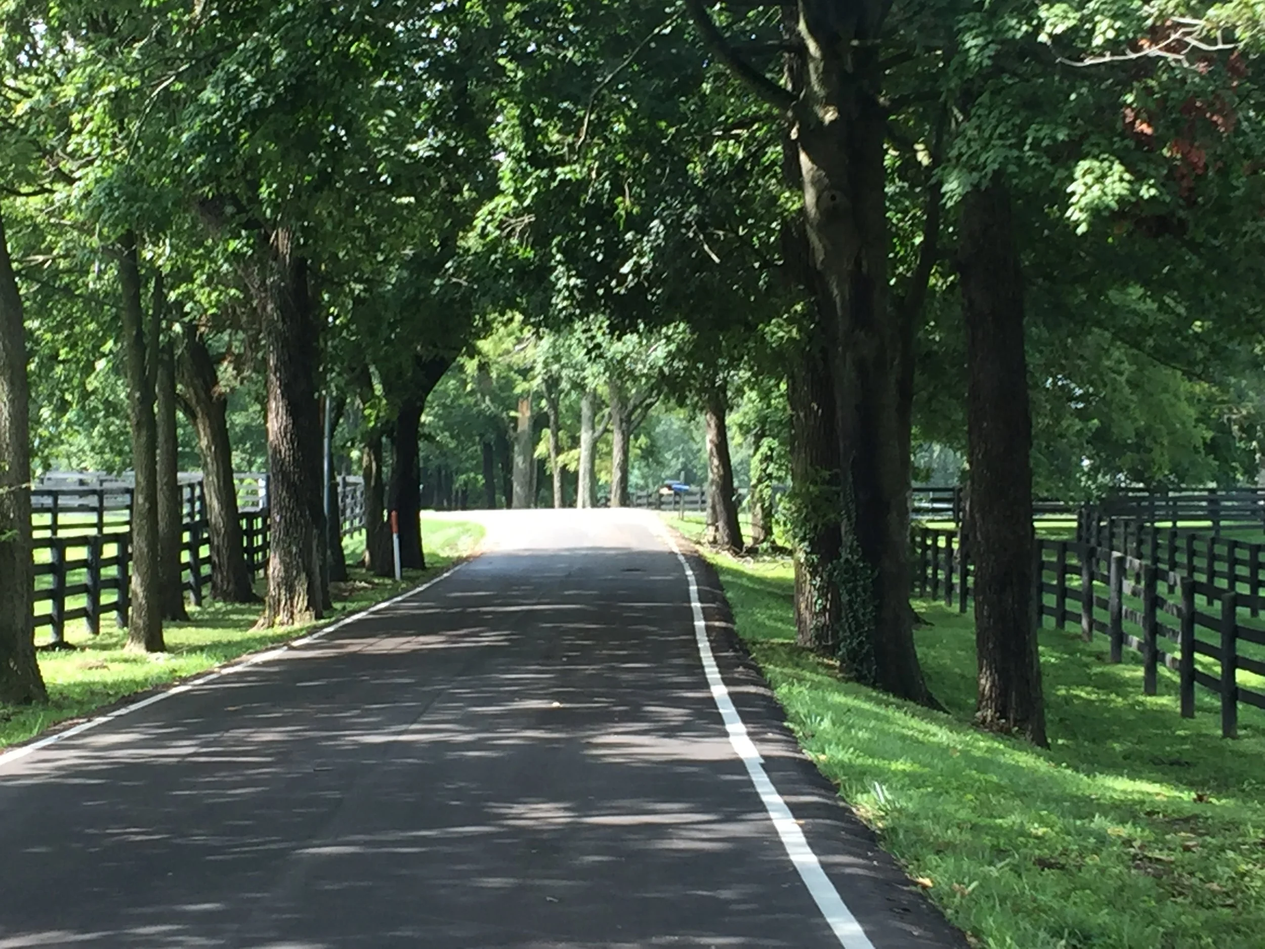 Front Parking Spot - Narrow Road