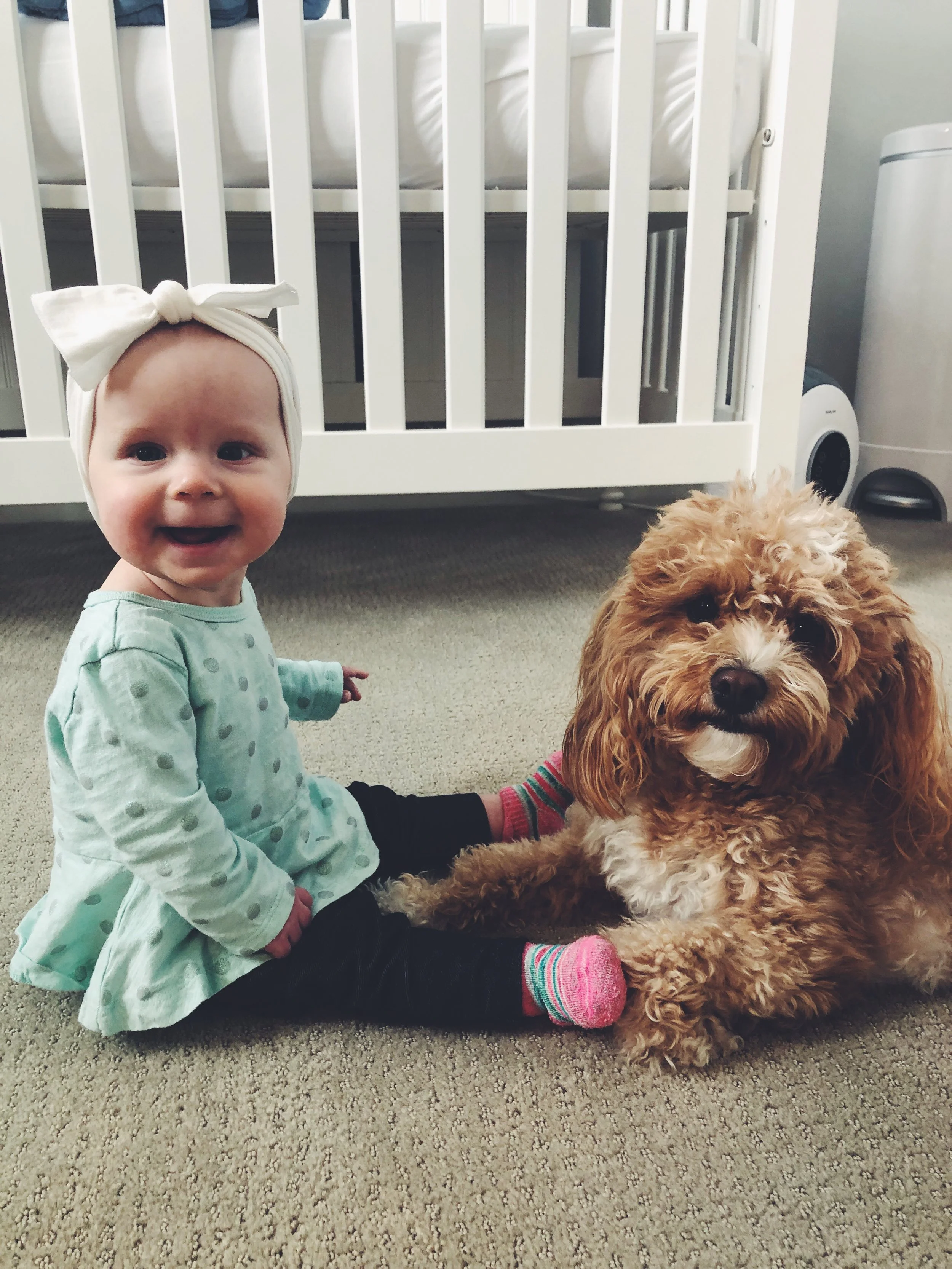  Trust Your Instincts