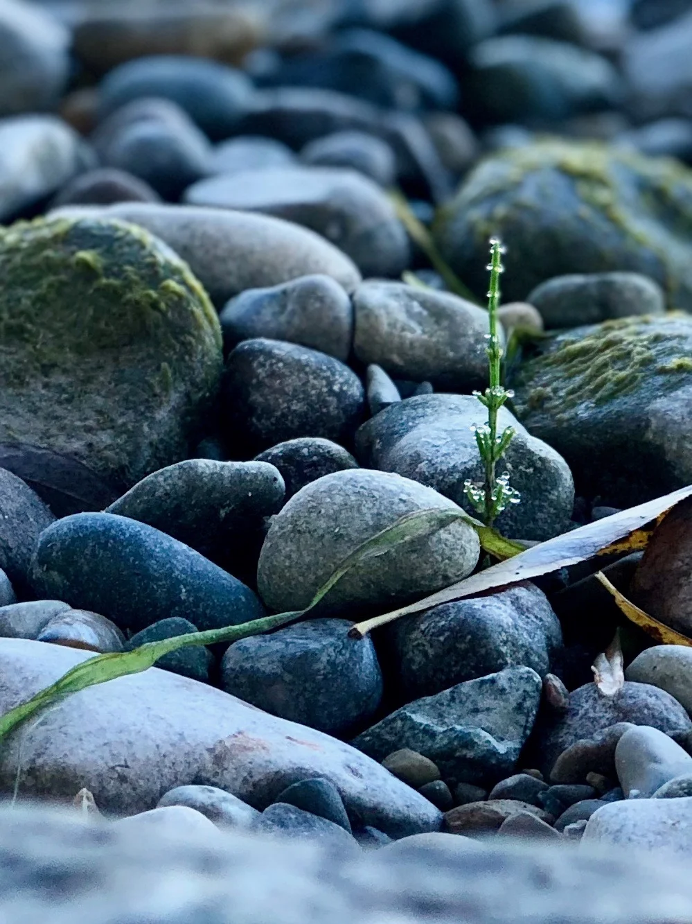 Front Parking Spot - "Regret City"