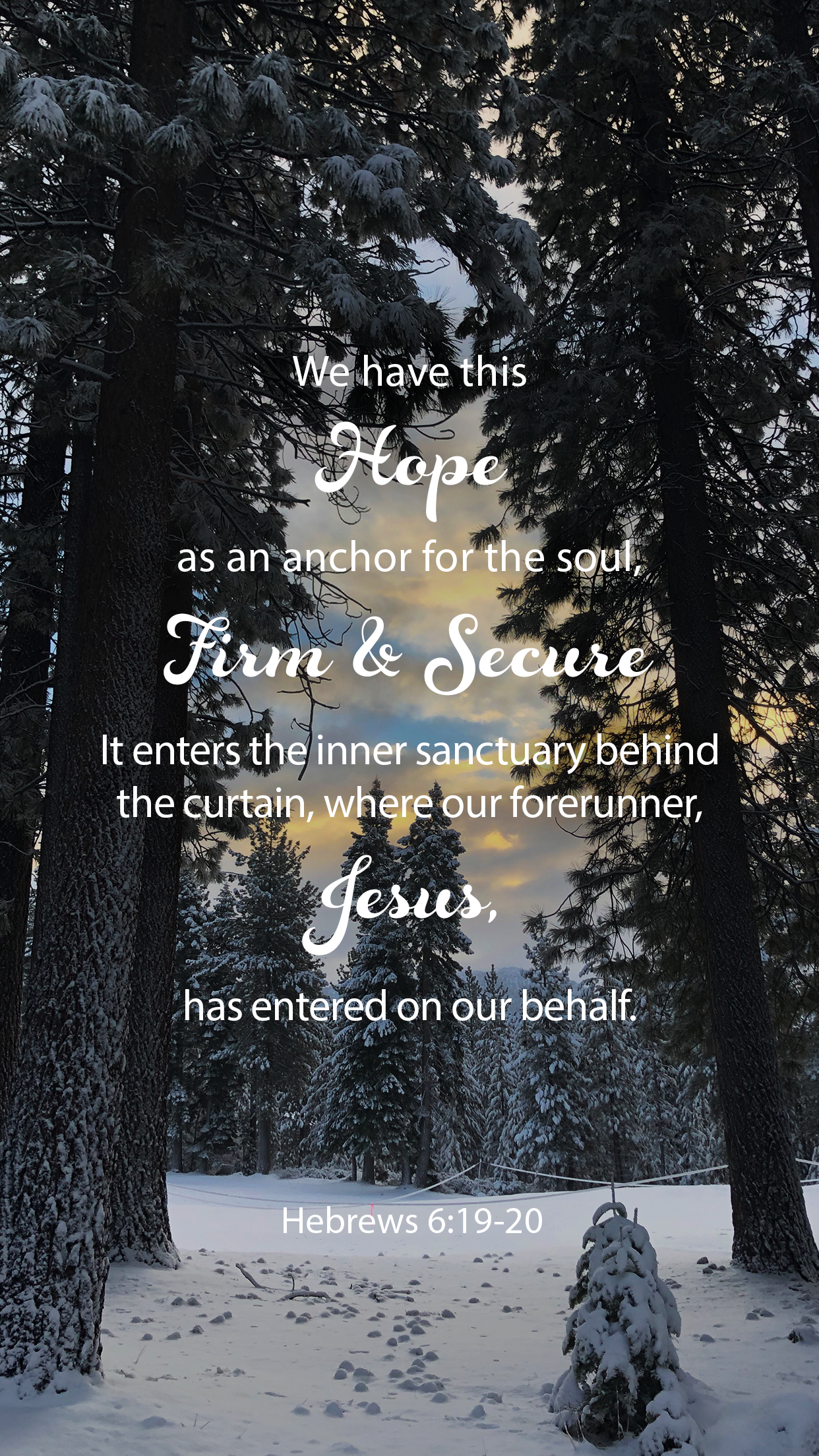 Words For Wednesday - Hebrew 6 : 19-20