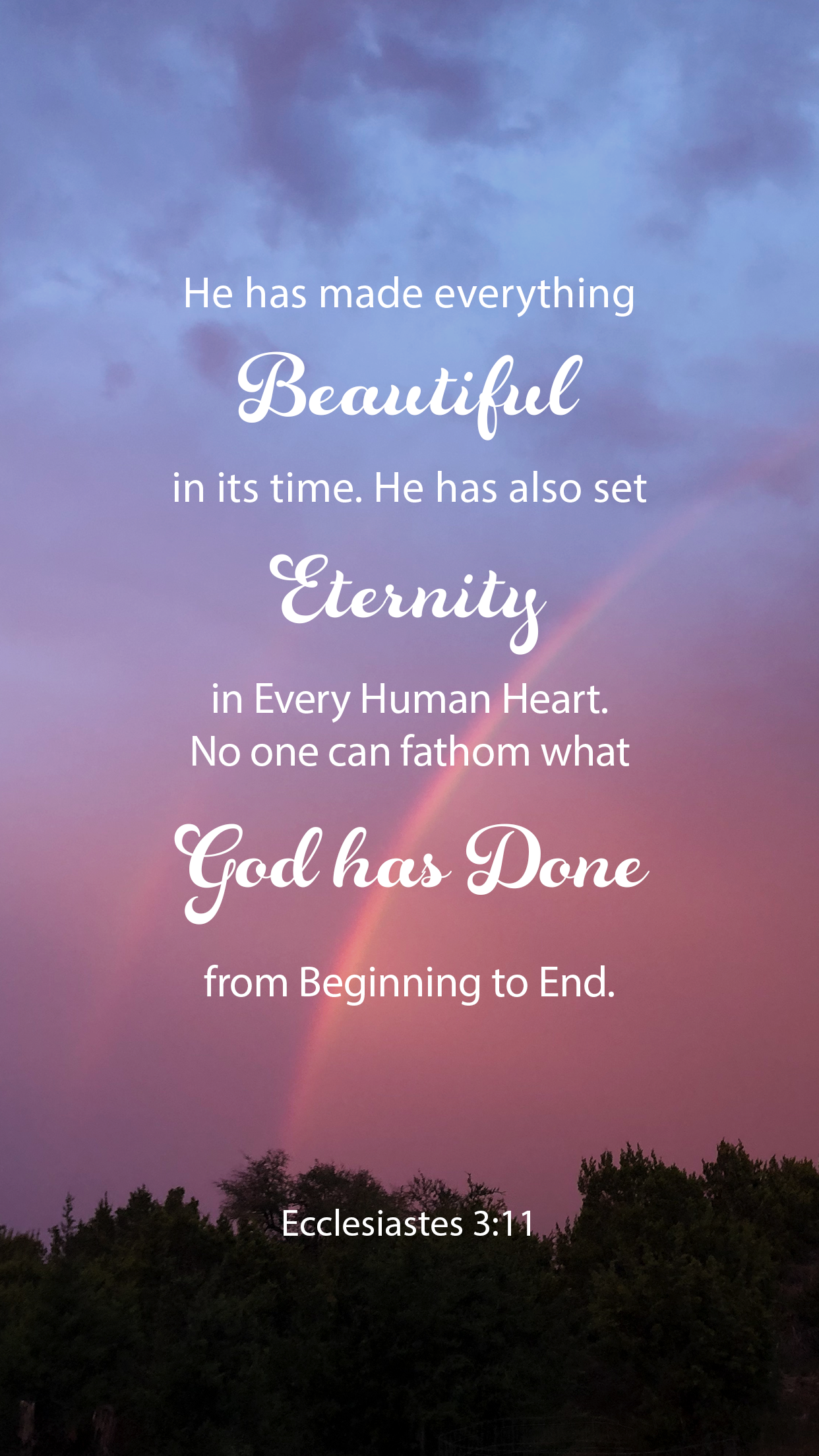 Words For Wednesday - Ecclesiastes 3 : 11